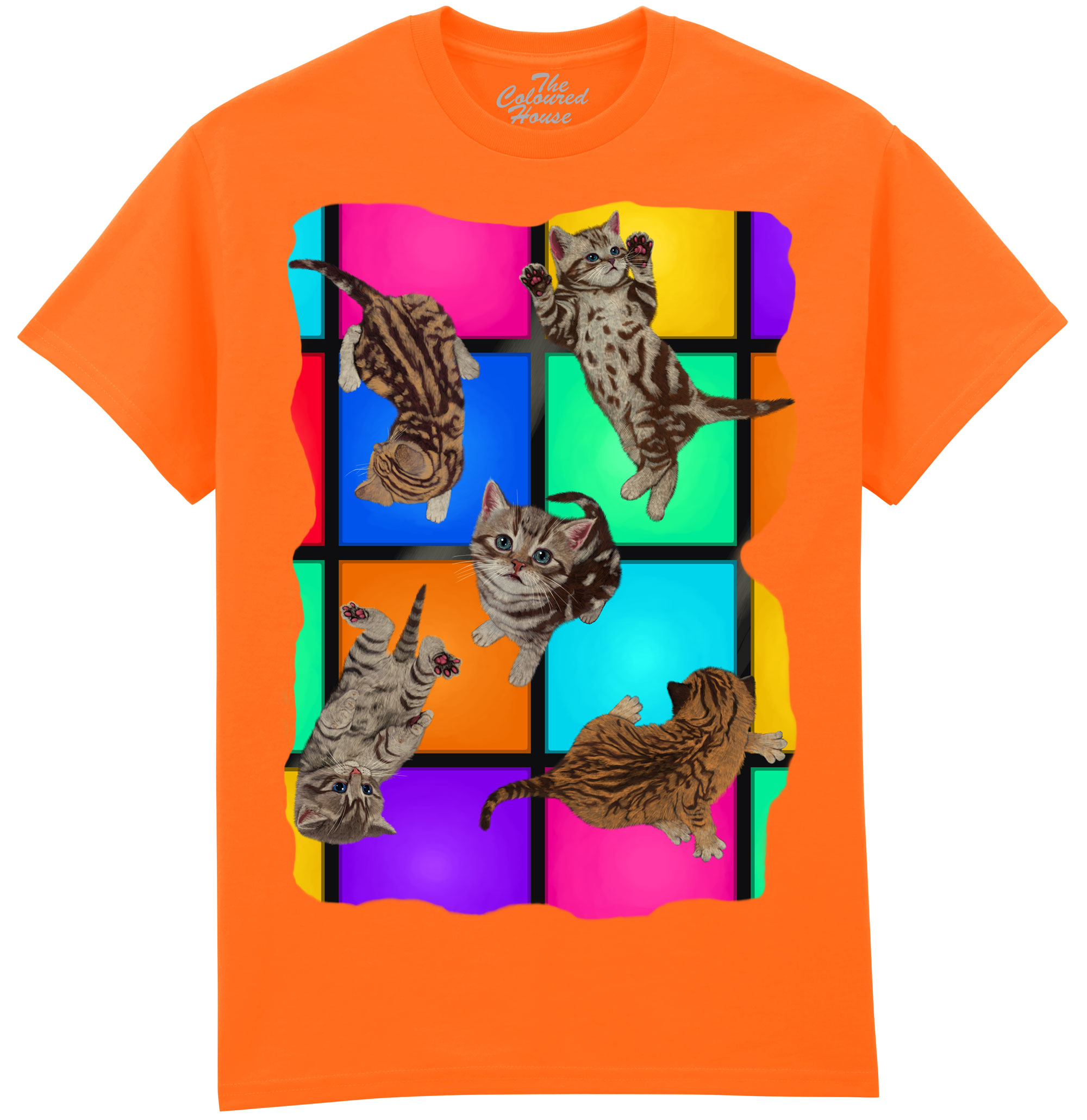 Disco Kittens