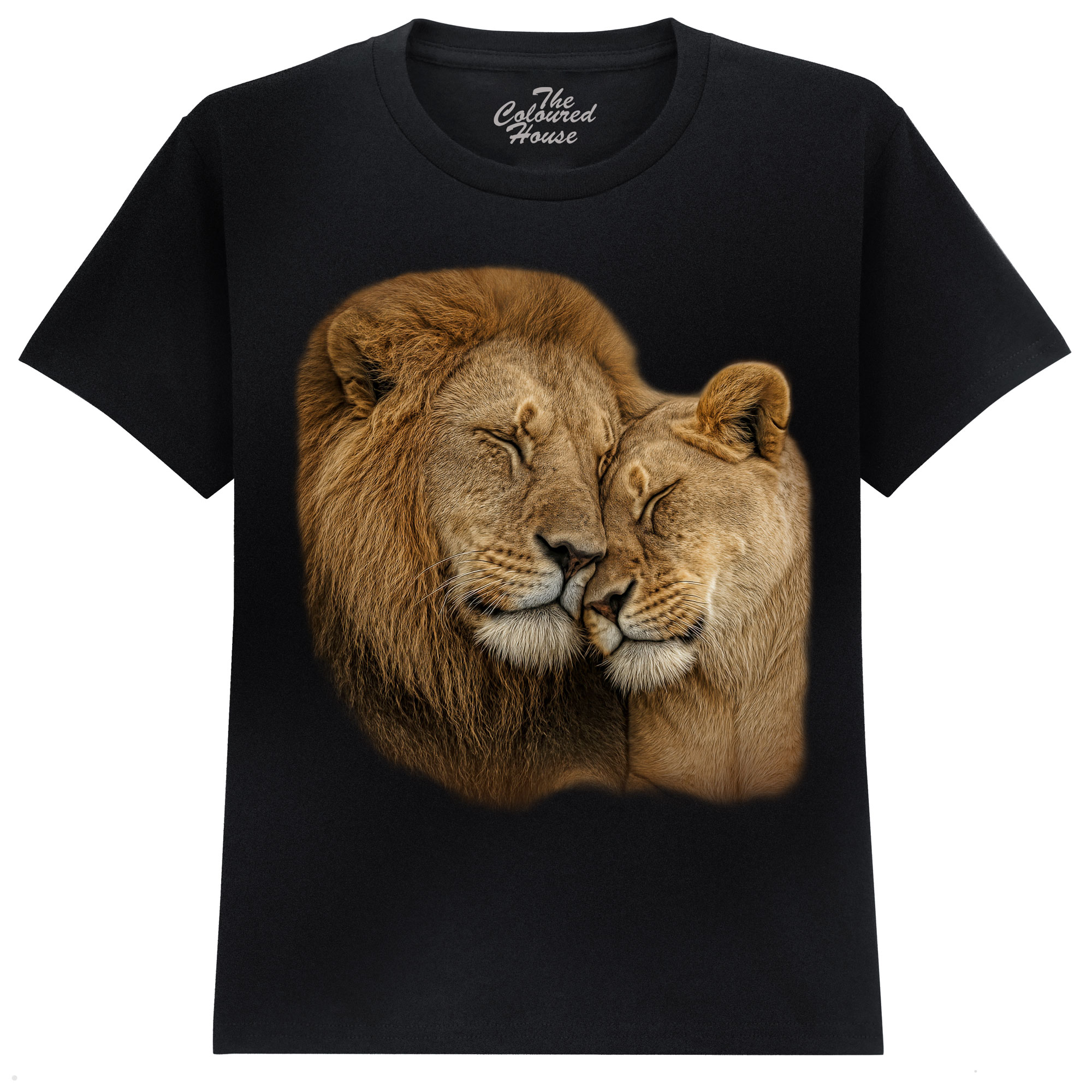 In The Arms Of The King KIDS