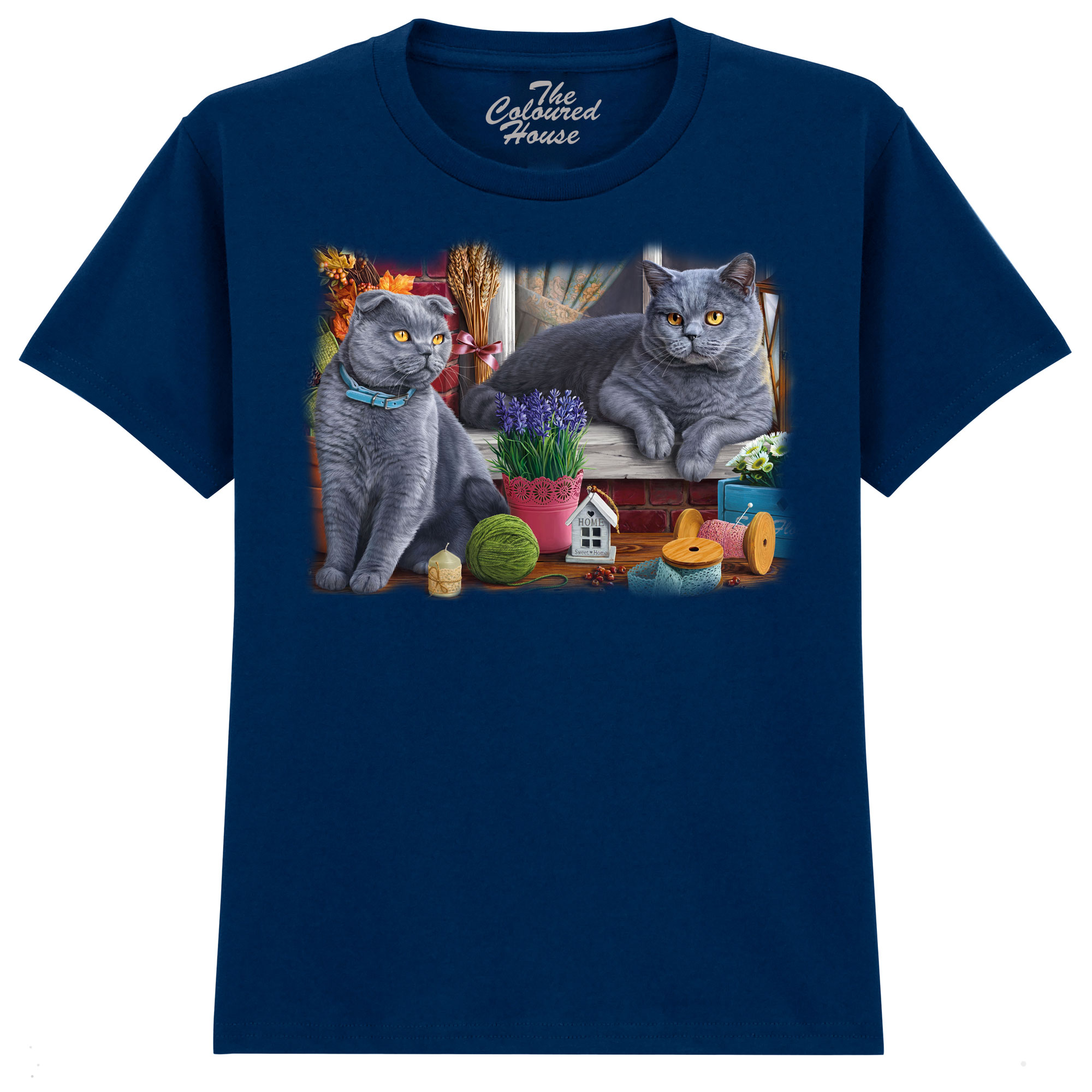 Brititsh Cats KIDS