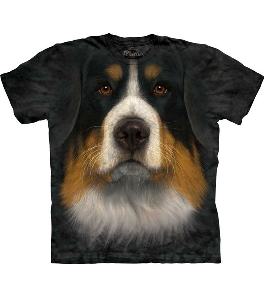 Bernese Mountain Dog Face