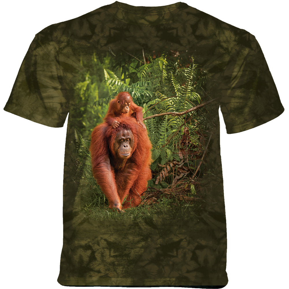 Orangutan Mama and Baby