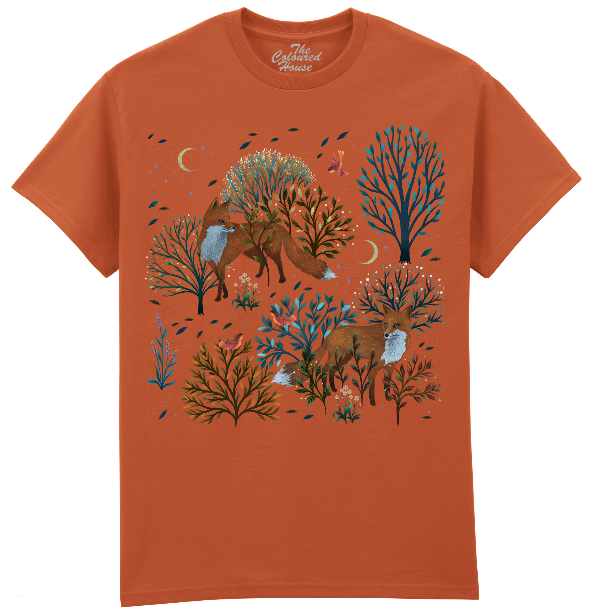Forest Foxes