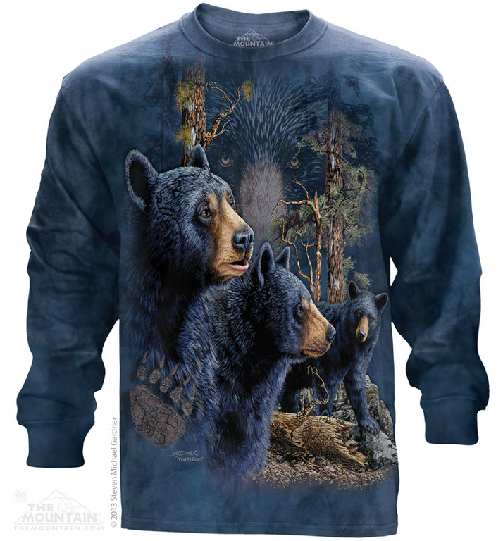 Find 13 Black Bears