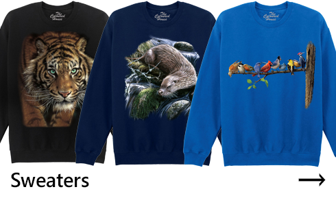 Sweaters