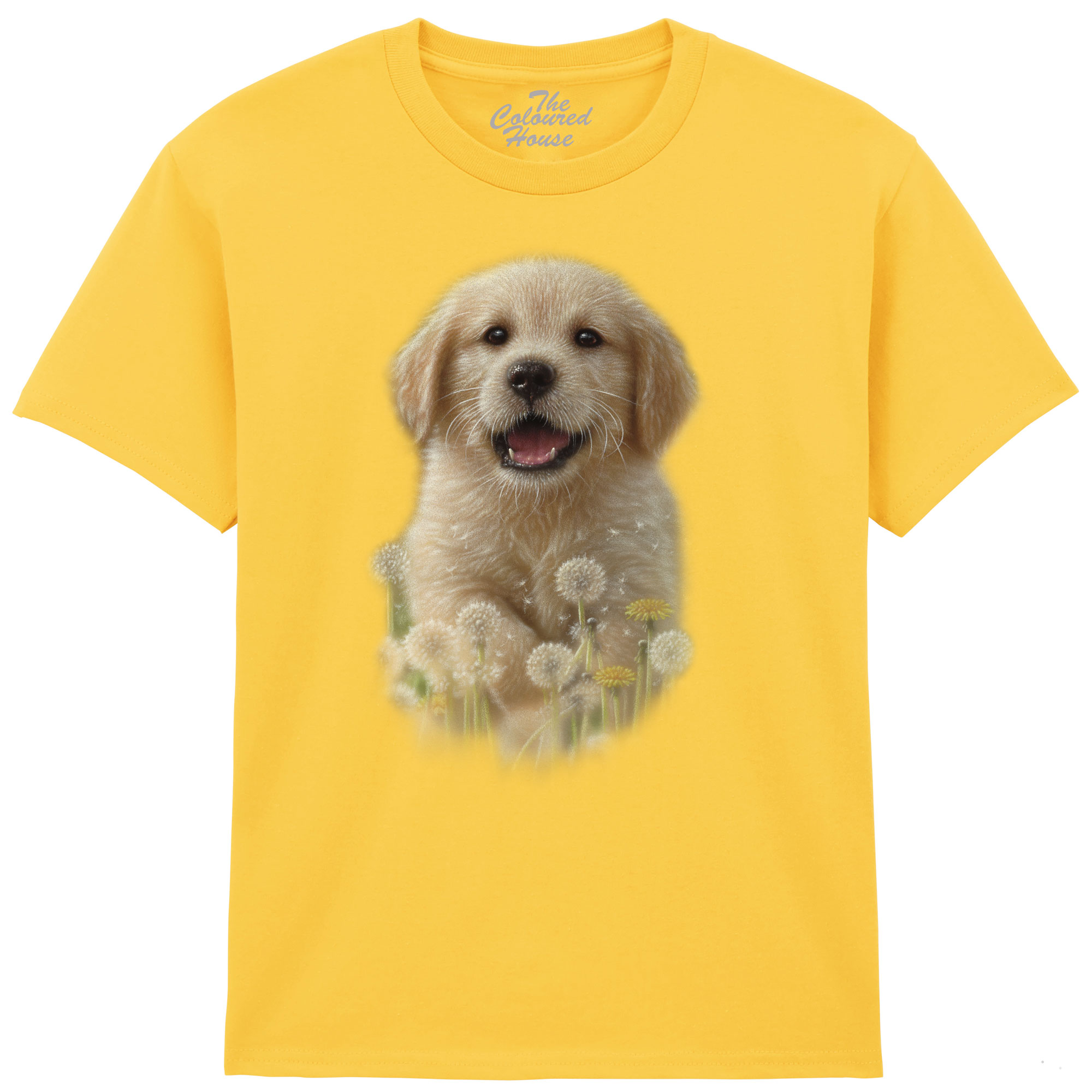 Dandelions - Golden Pup KIDS  