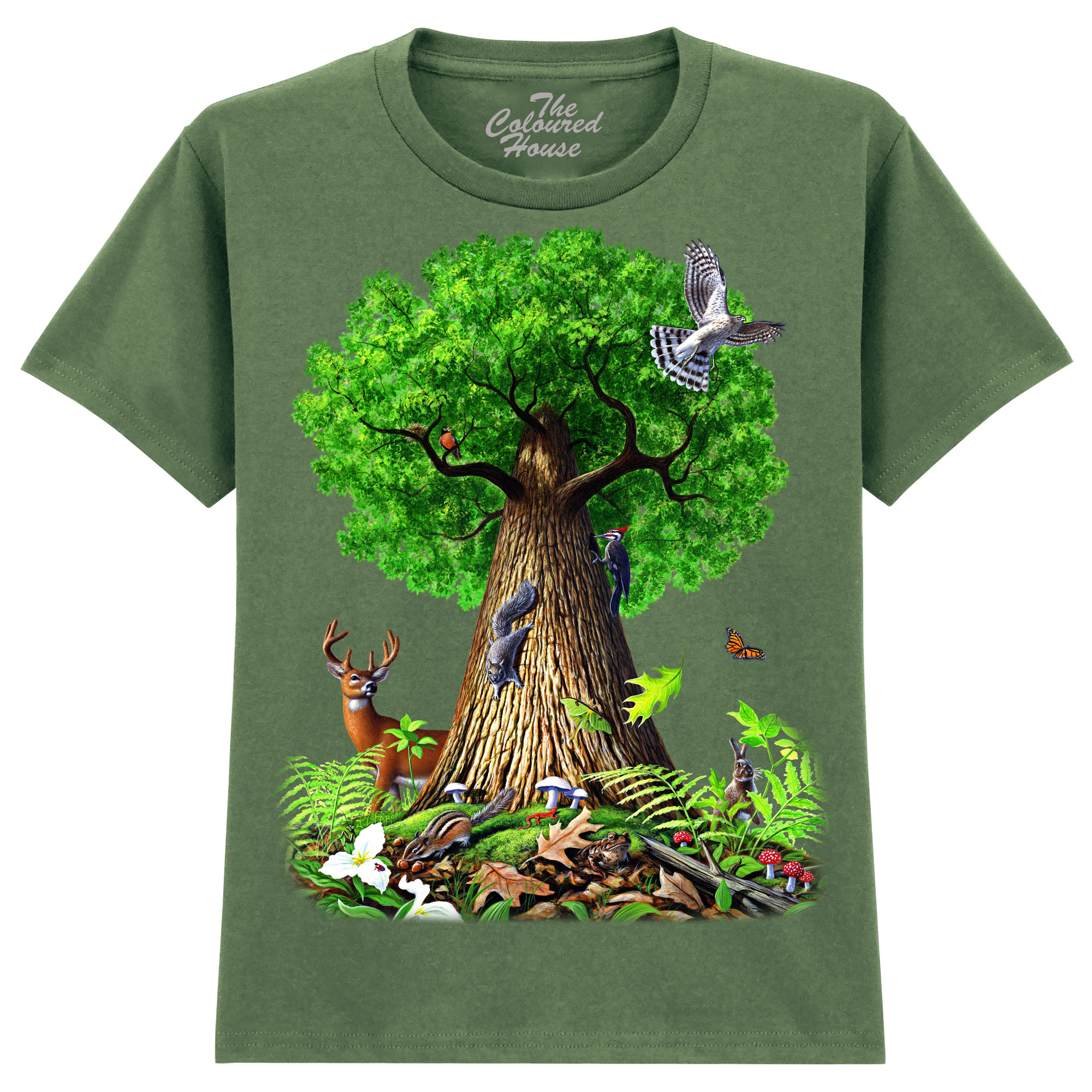 Tree Of Life Animals KIDS Tree Of Life Animals KIDS