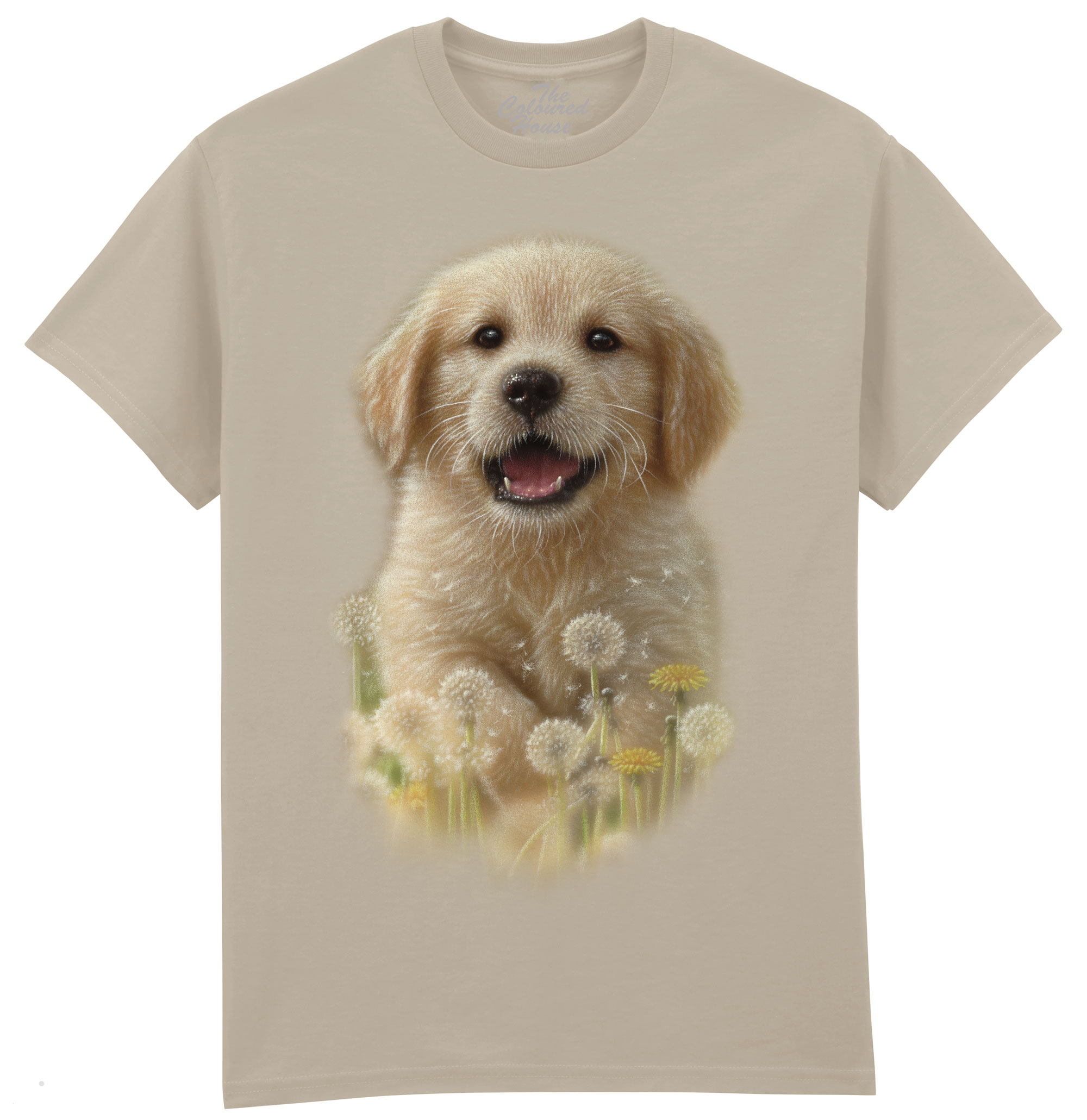 Dandelions - Golden Pup