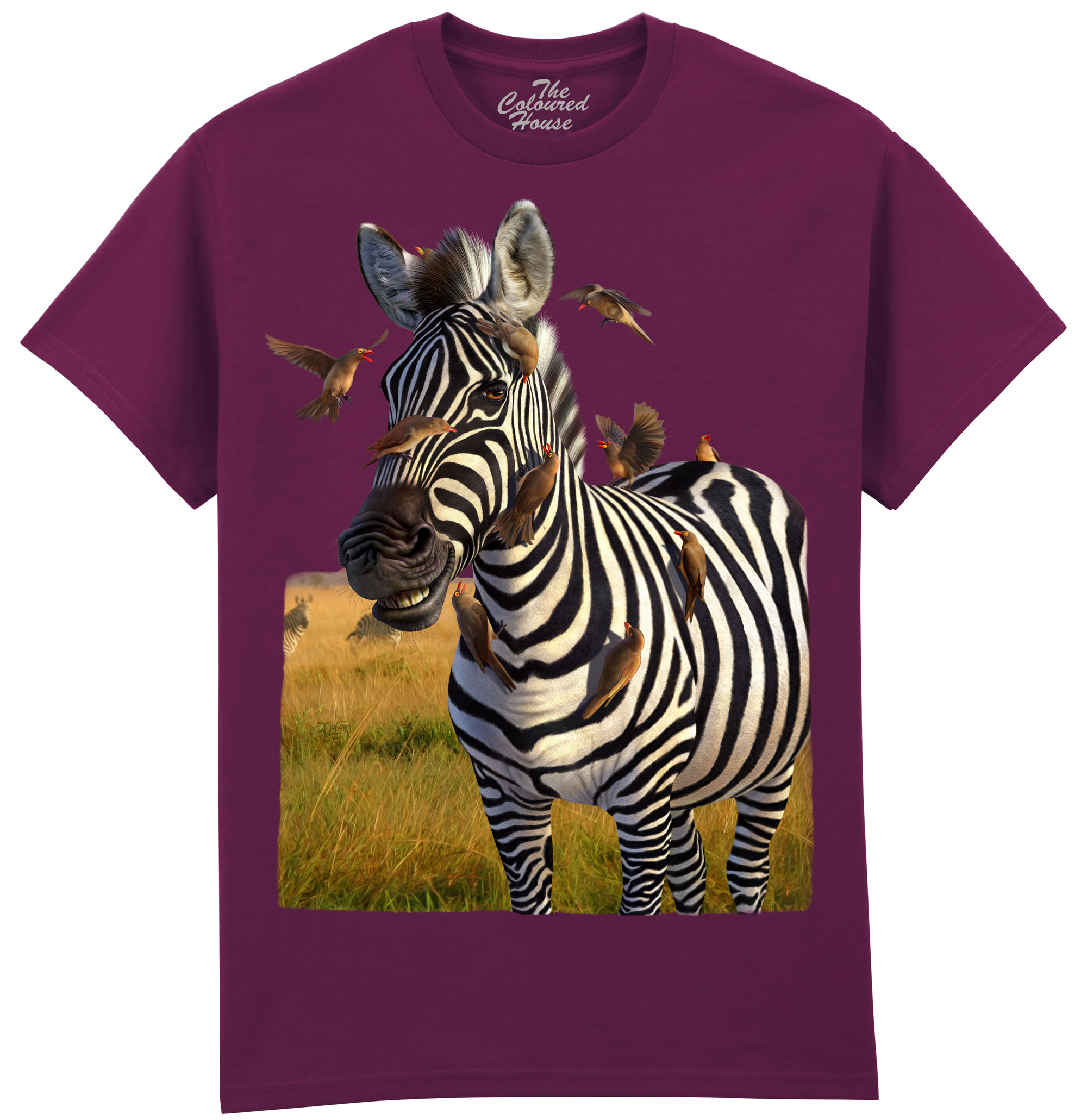 Jailbird - Zebra Jailbird - Zebra