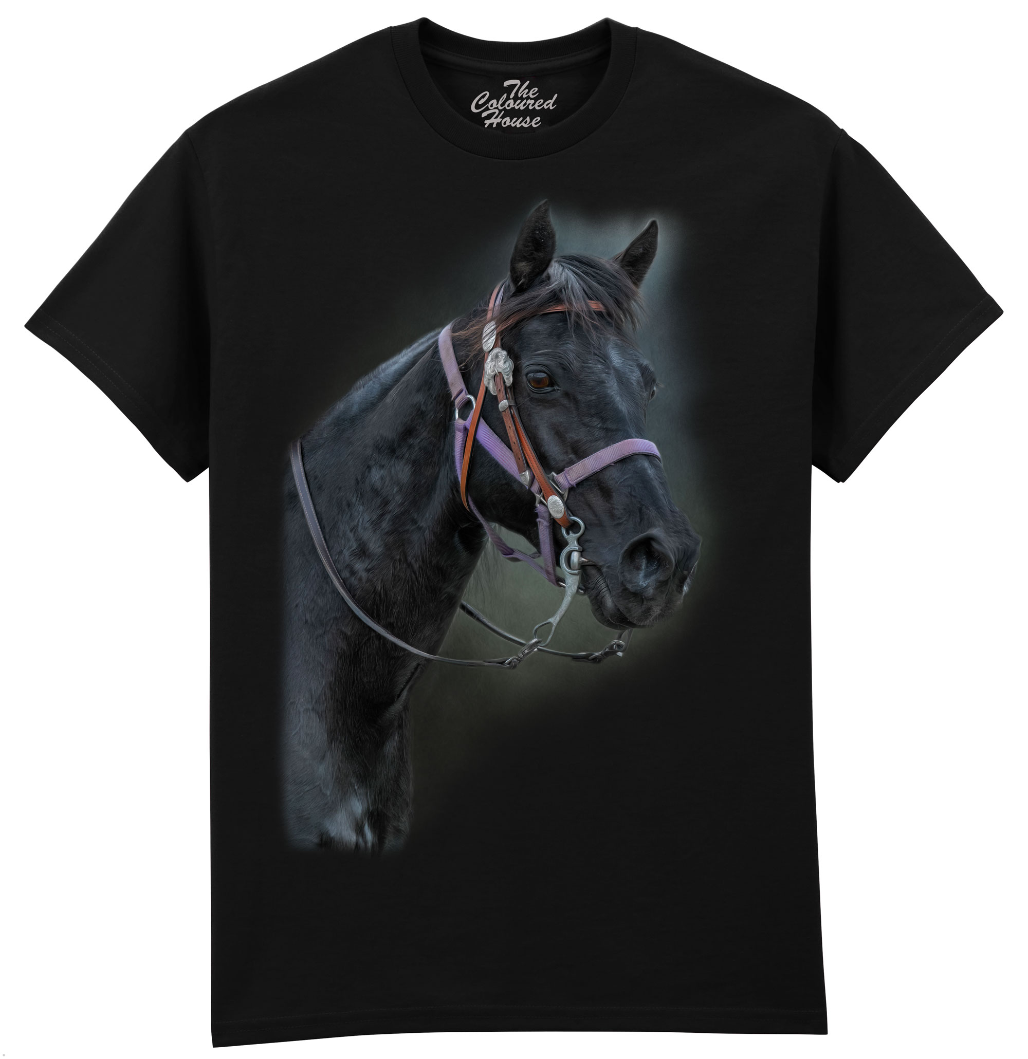 Pride Of The Pasture - Horse