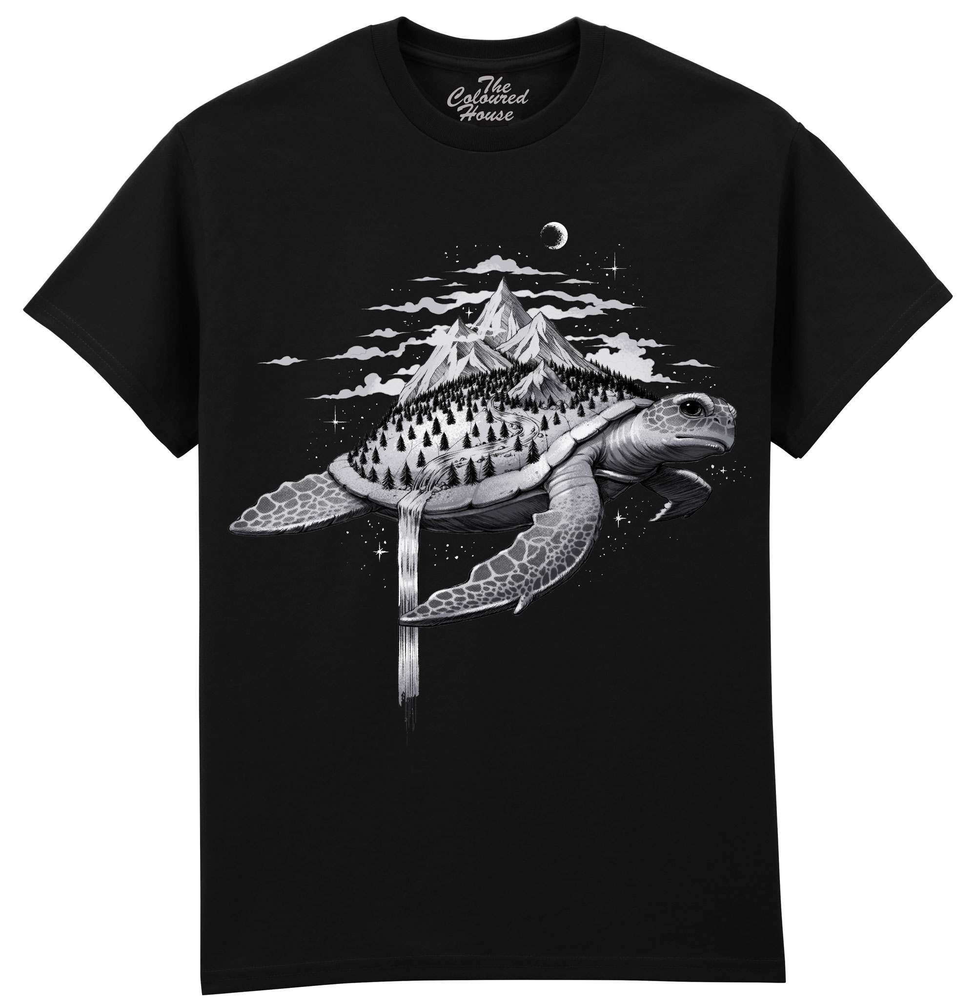 Adventure Turtle