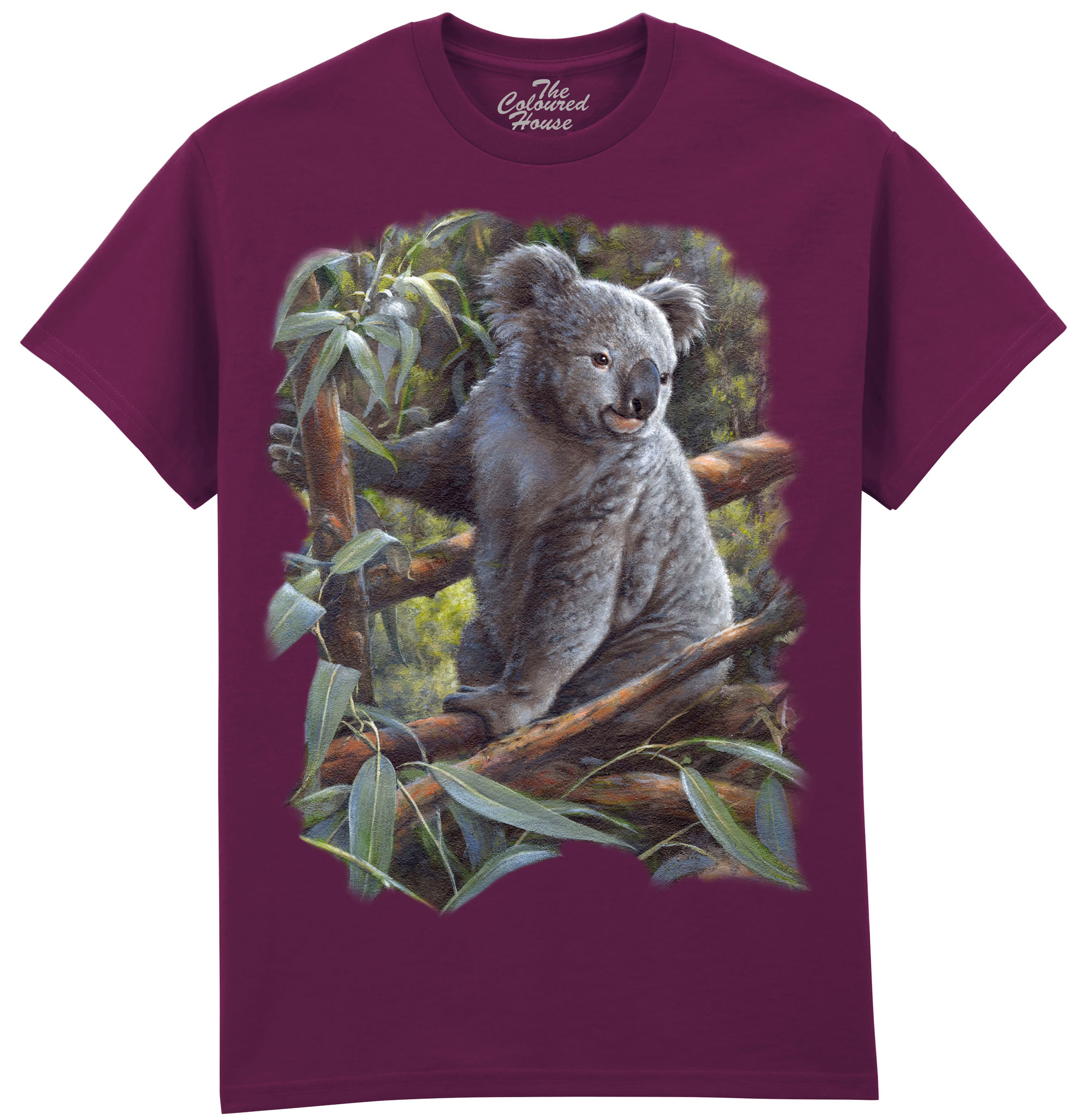 Koala Bear