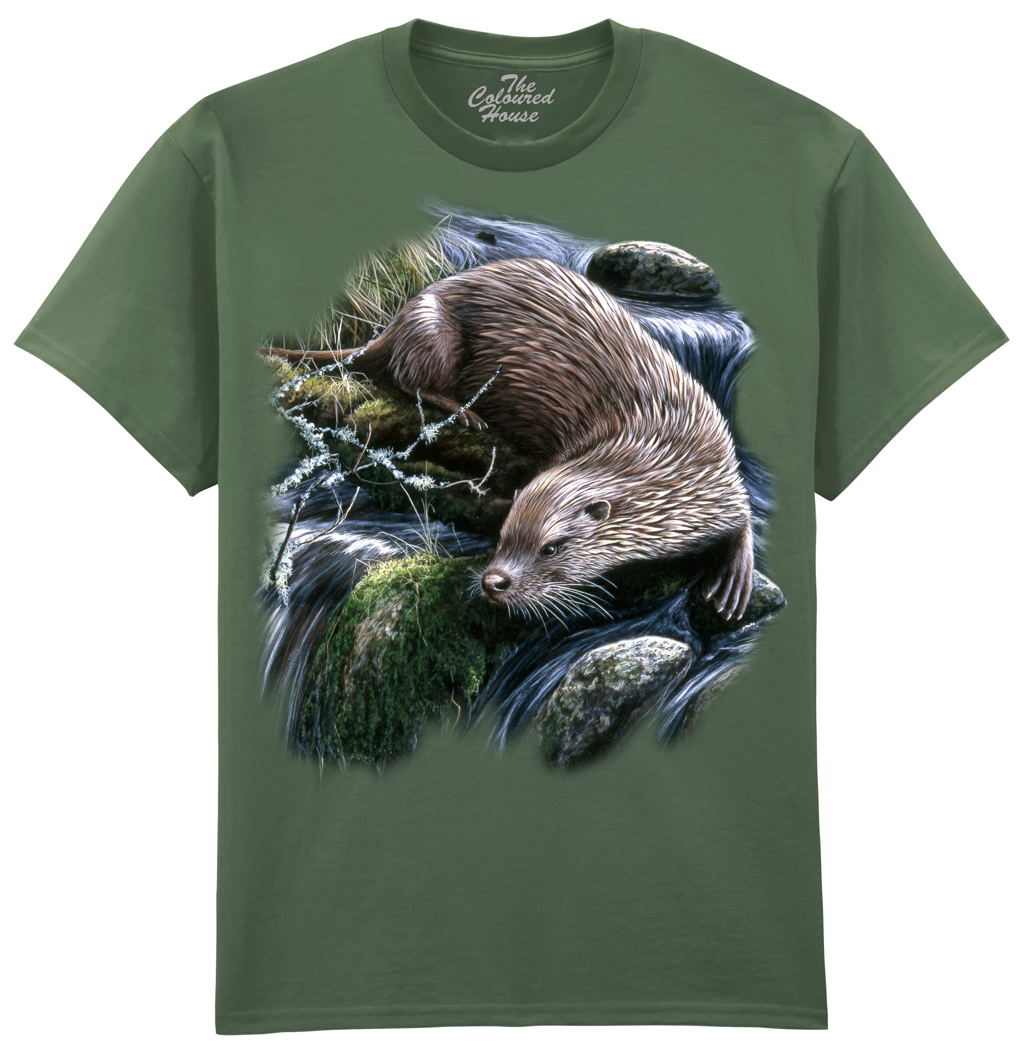 Exploring Otter