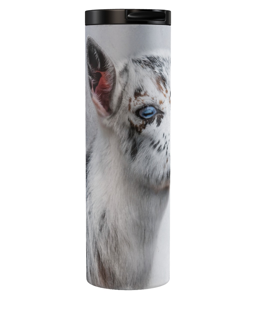 Cute And Curious Tumbler