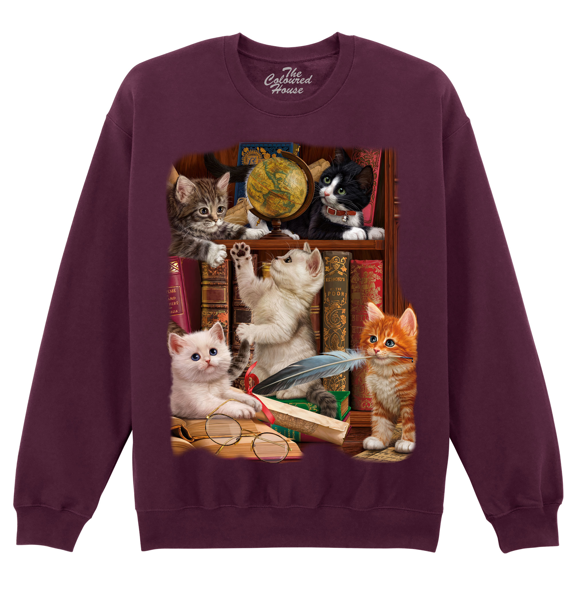 Kittens In The Library Sweater