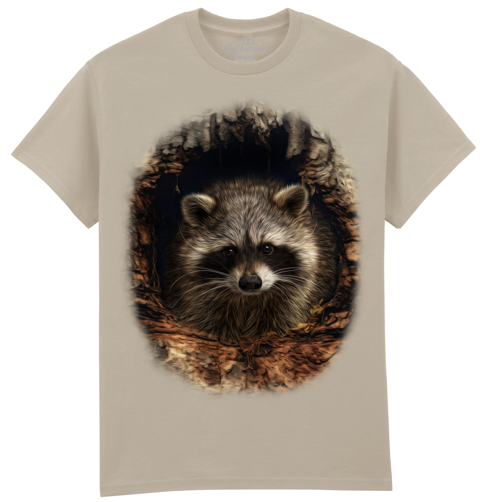 Through The Woodland Window - Racoon