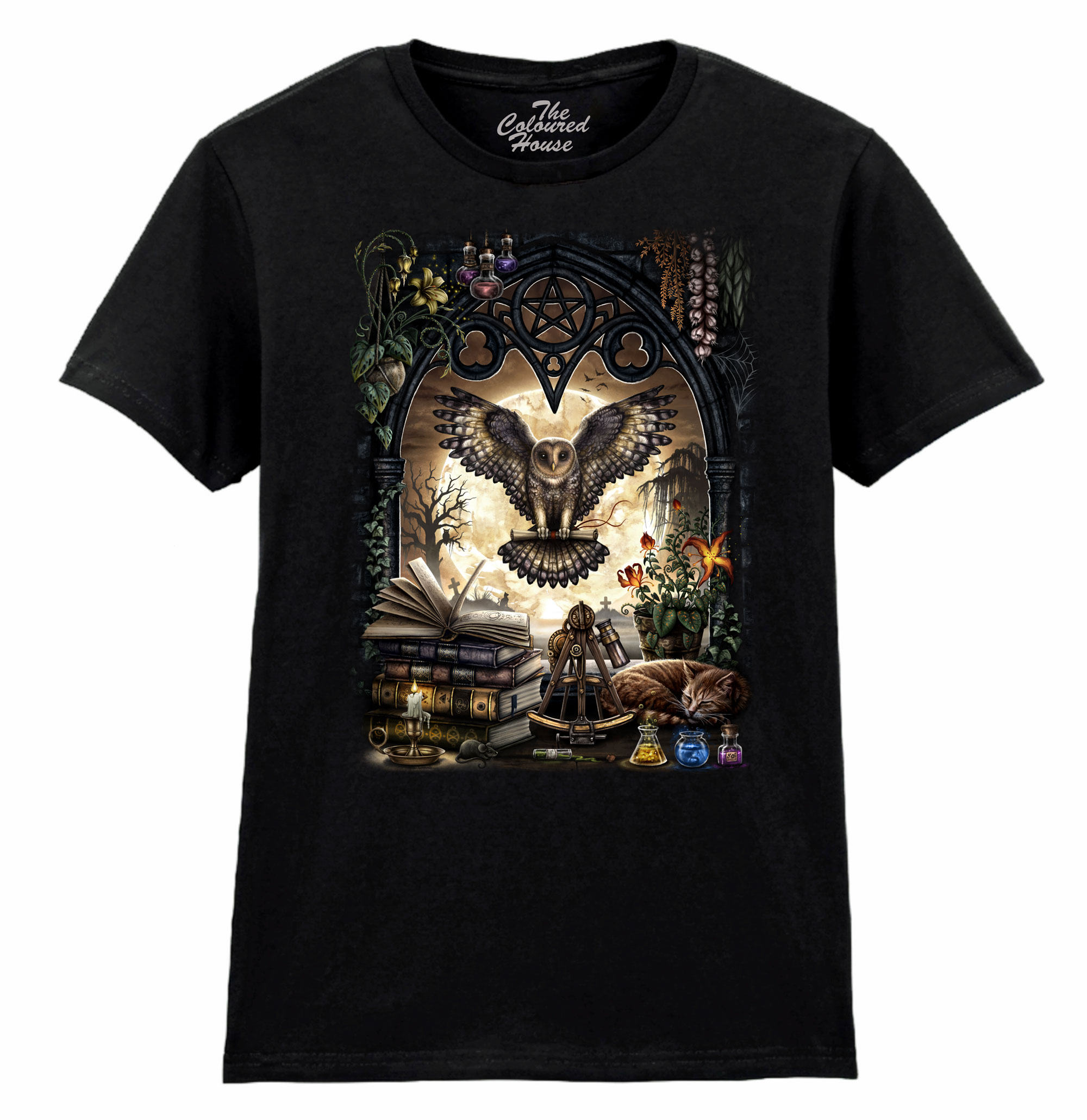 The Messenger Ladies T-shirt