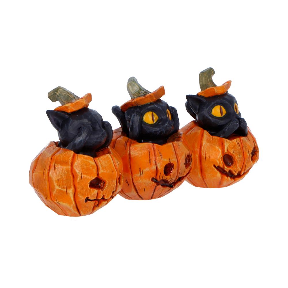 Three Wise Pumpkin Patch - Cats 7.7cm