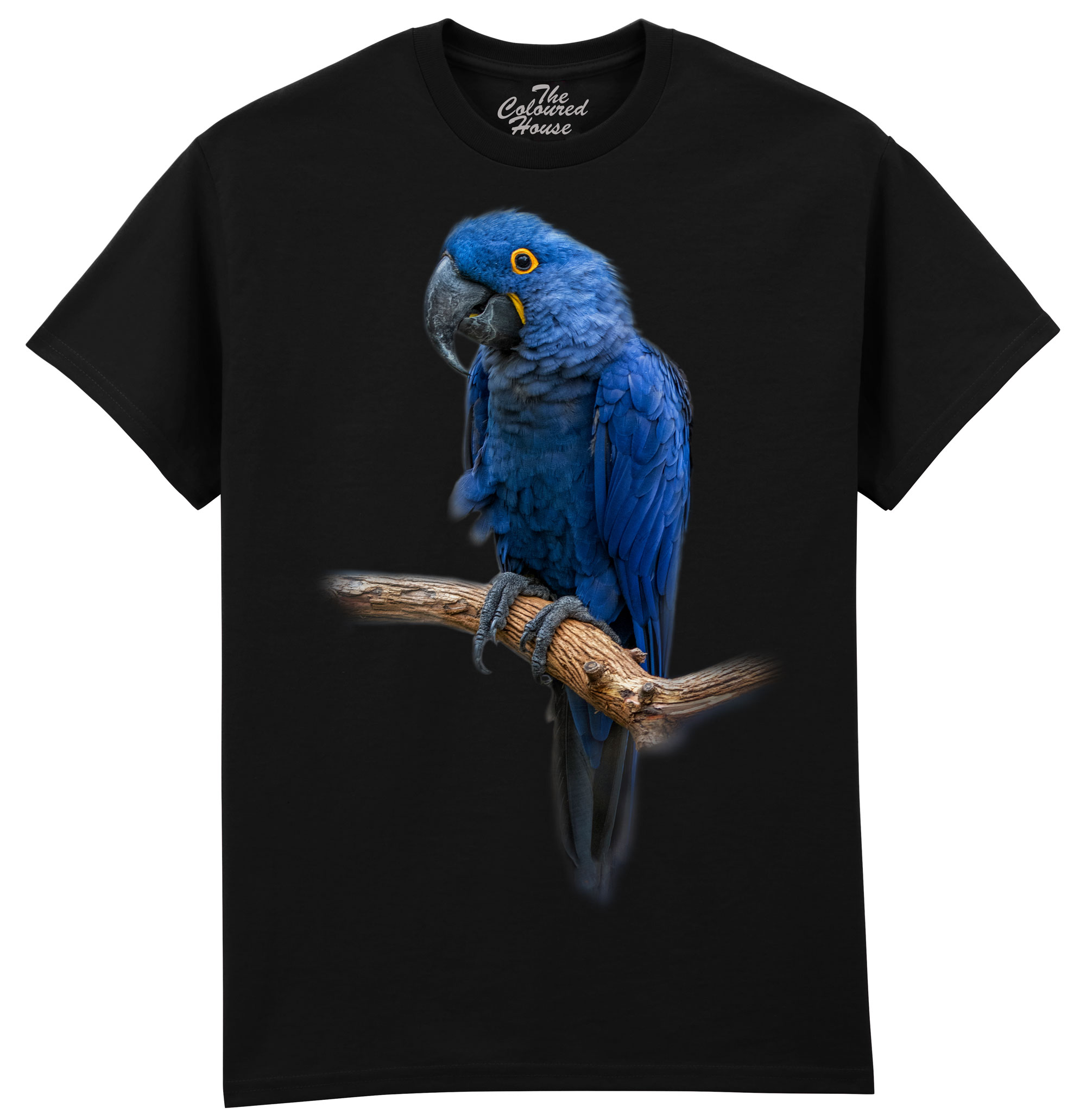 Blue Gem - Macaw