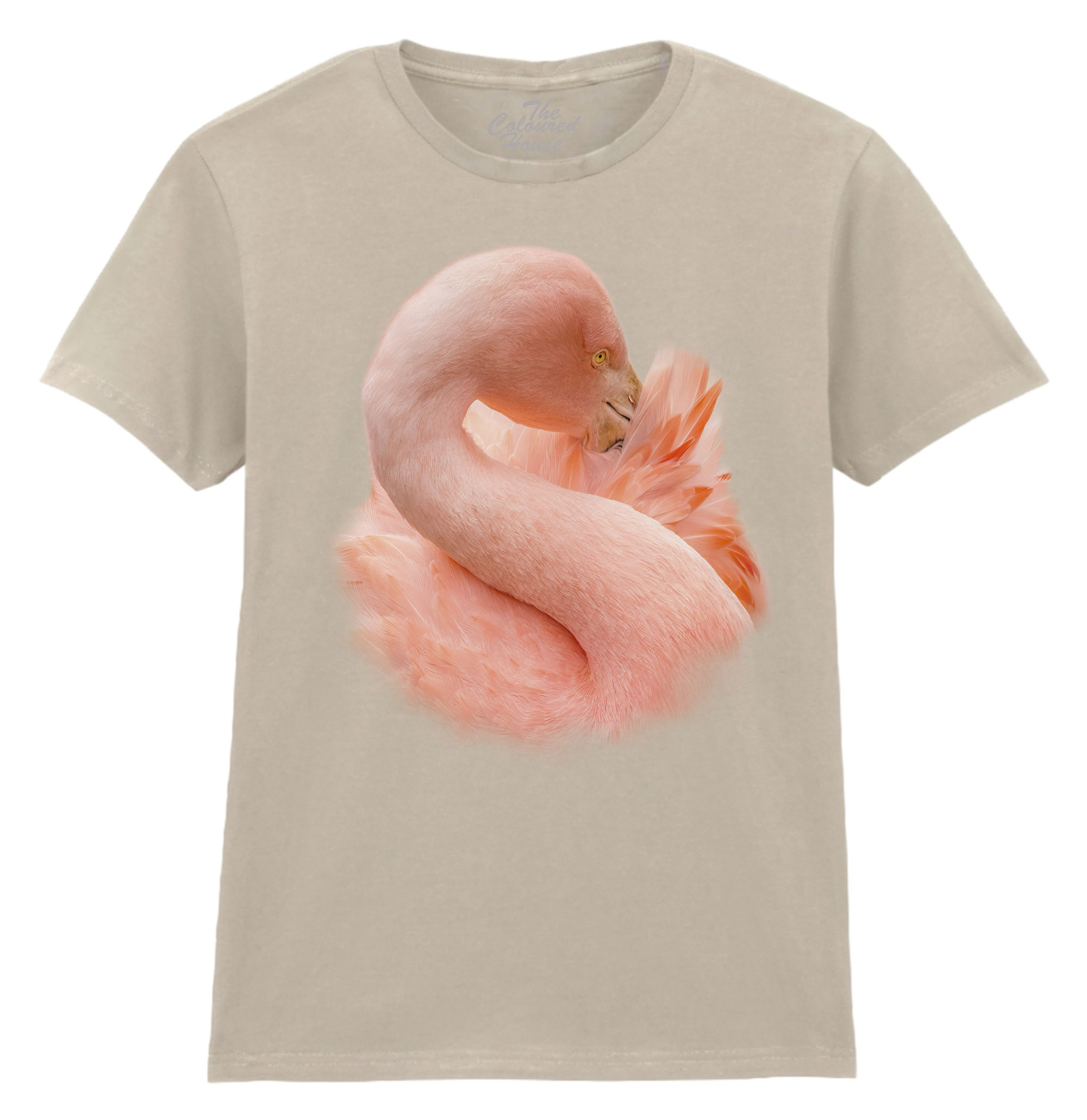 Cocoon Of Plumage Ladies T-shirt