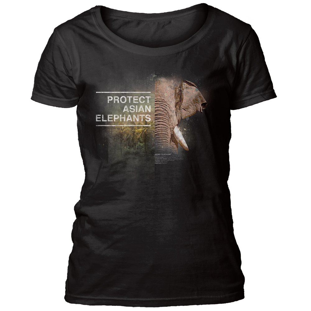 Protect Asian Elephant Black Women's Scoop T-shirt