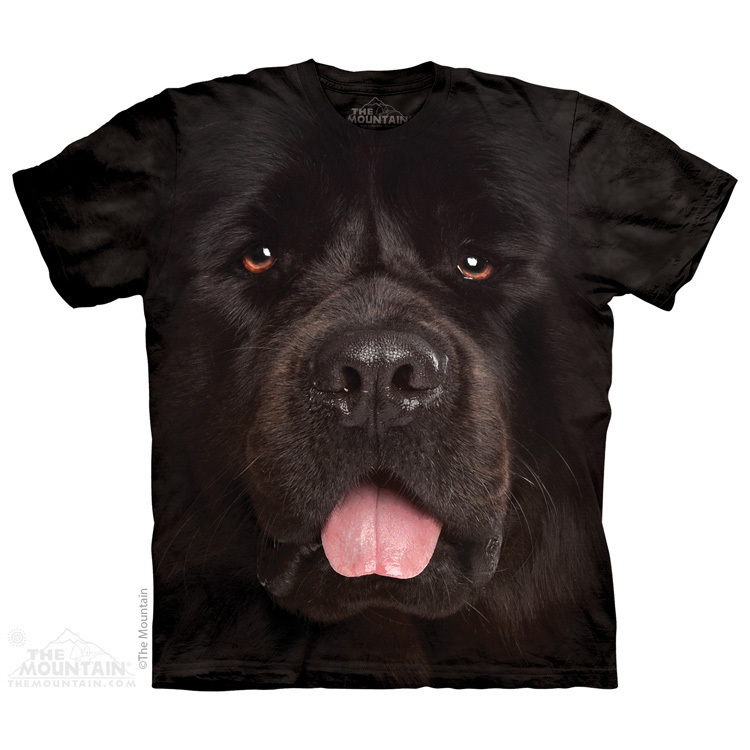 Big Face Newfie