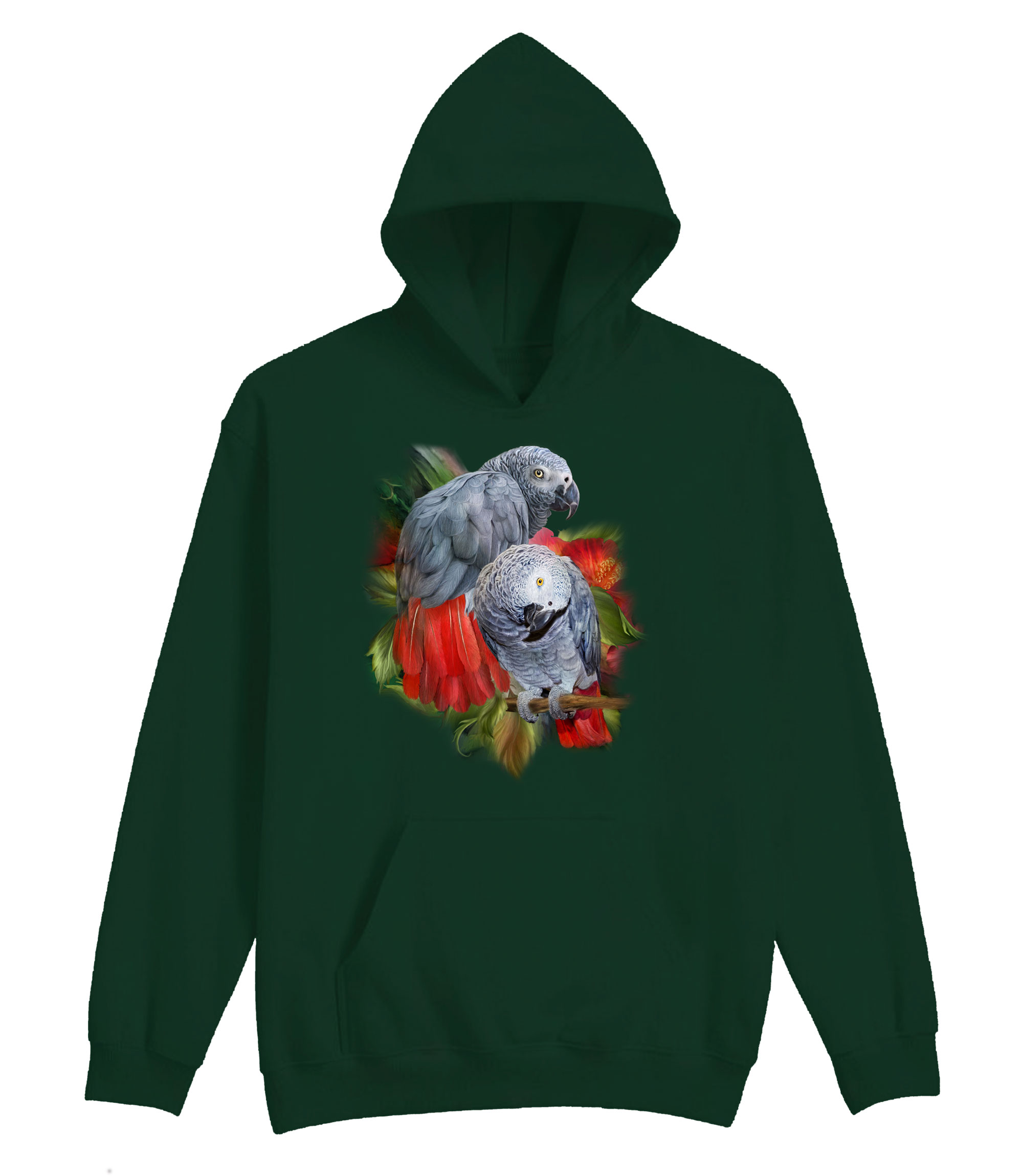 African Greys Hoodie