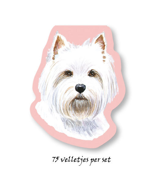 Westie