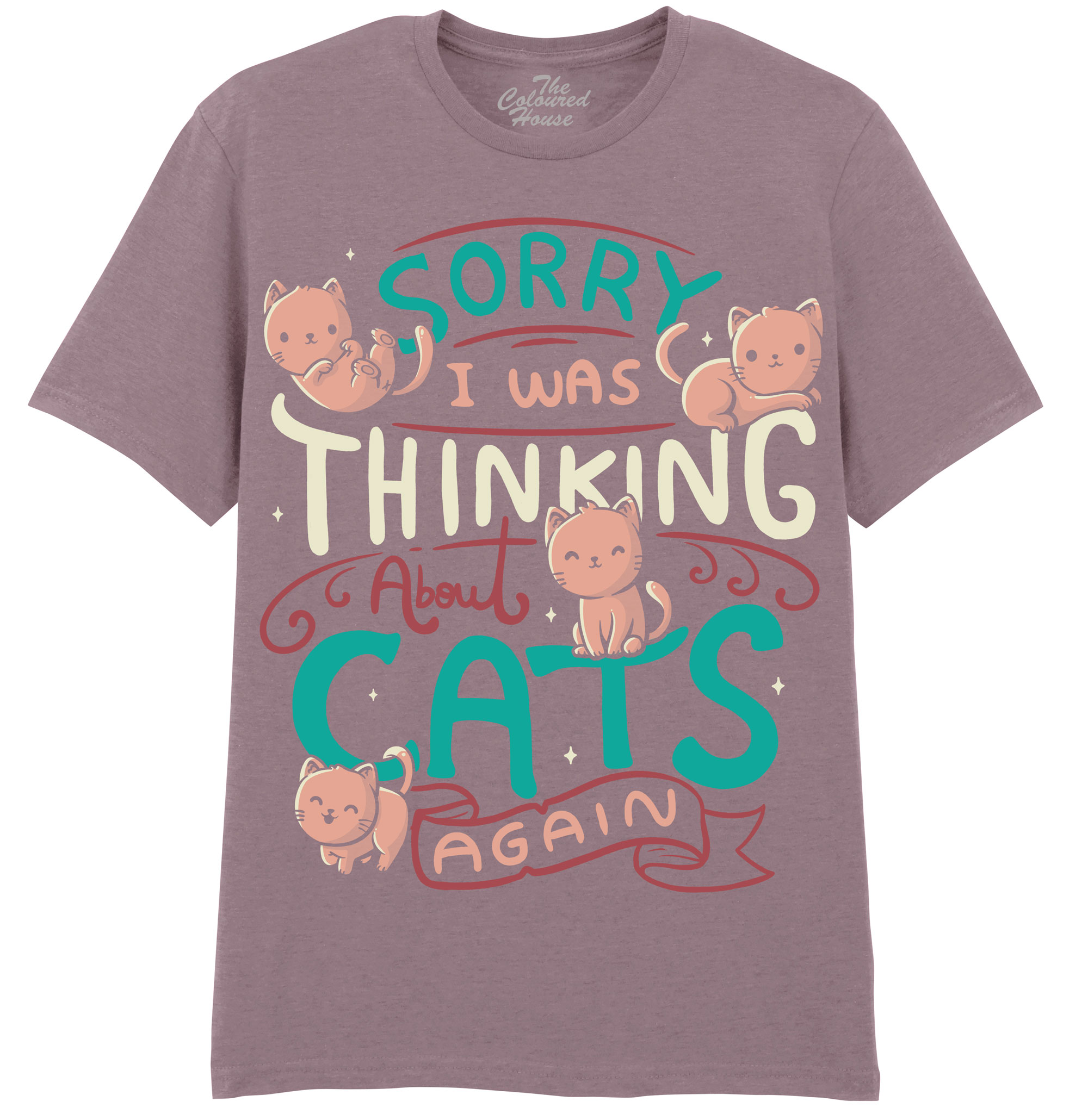 Thinking About Cats