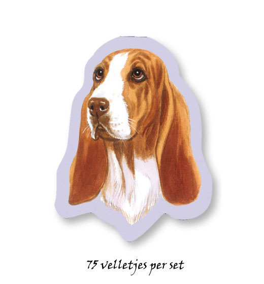 Basset Hound