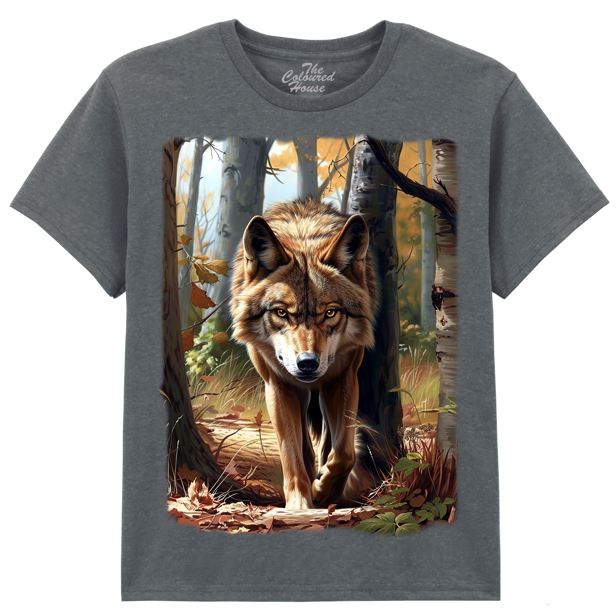 Autumn Approaching KIDS