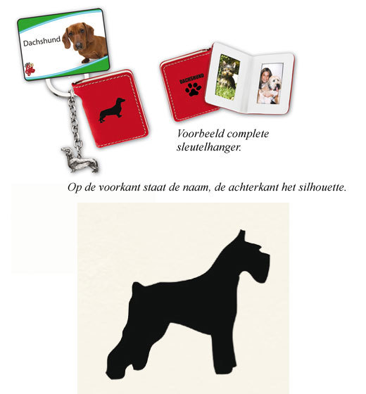 Schnauzer