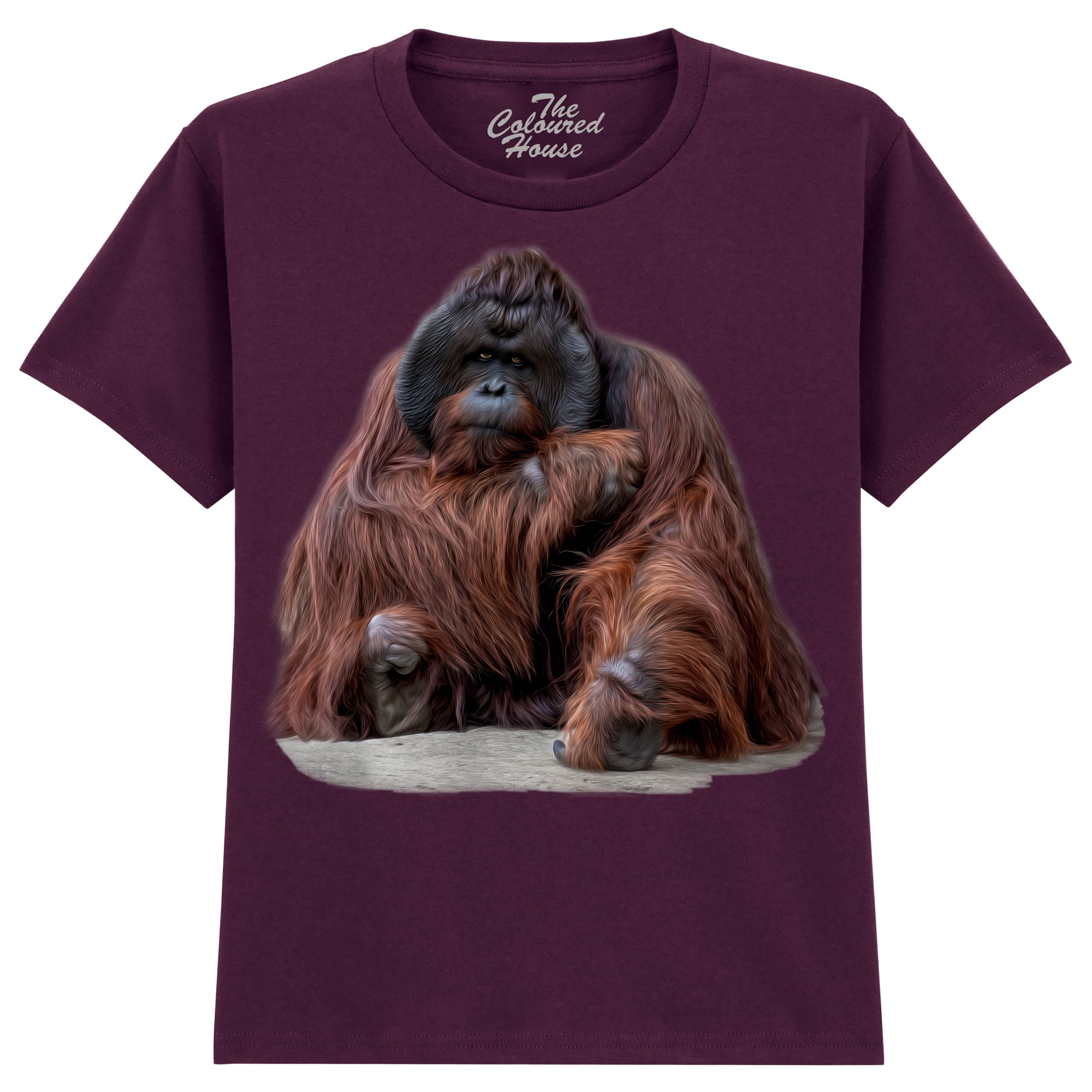 Wisdom Beyond Words - Orangutan KIDS