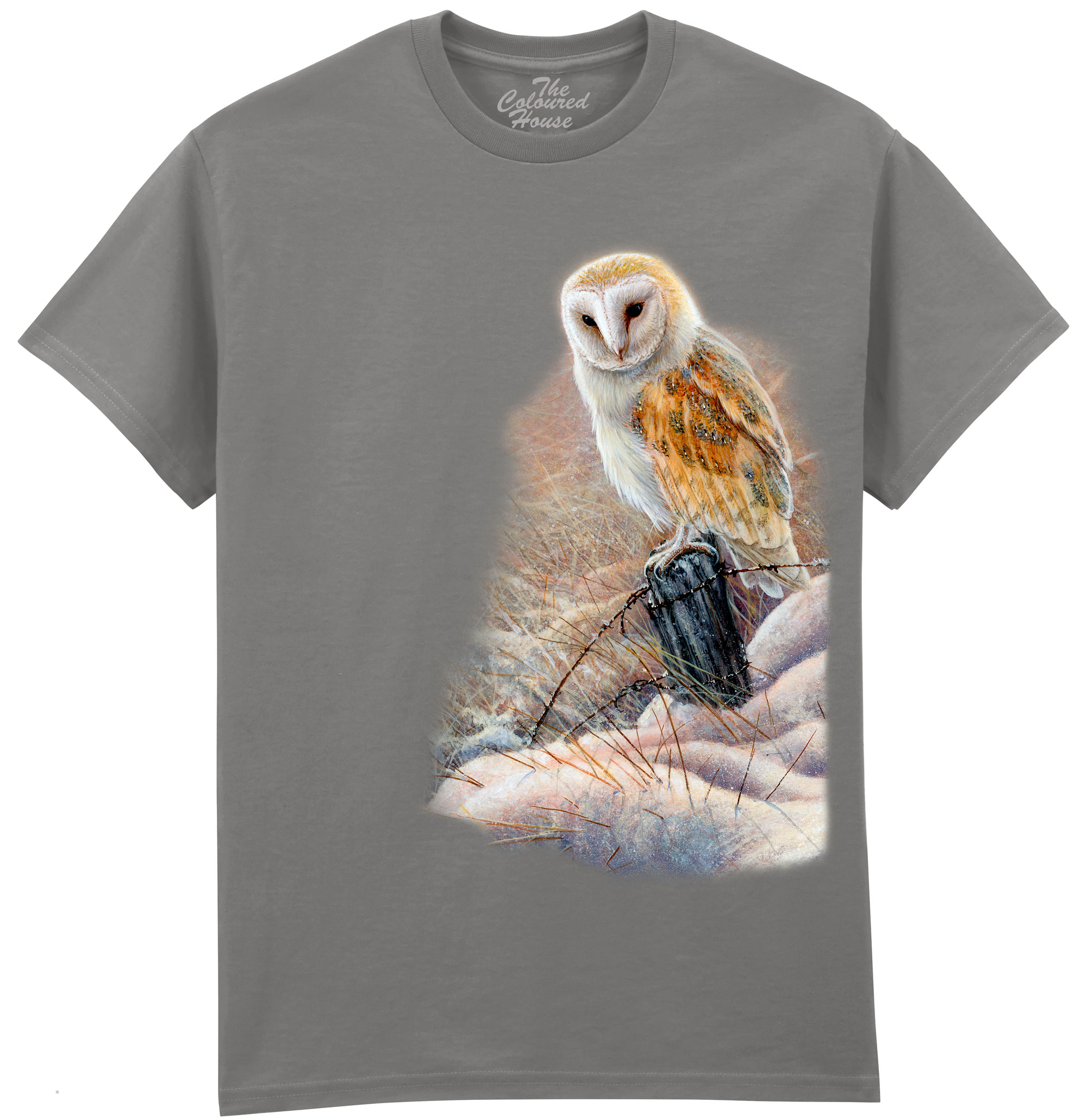 Winter Glow Barn Owl