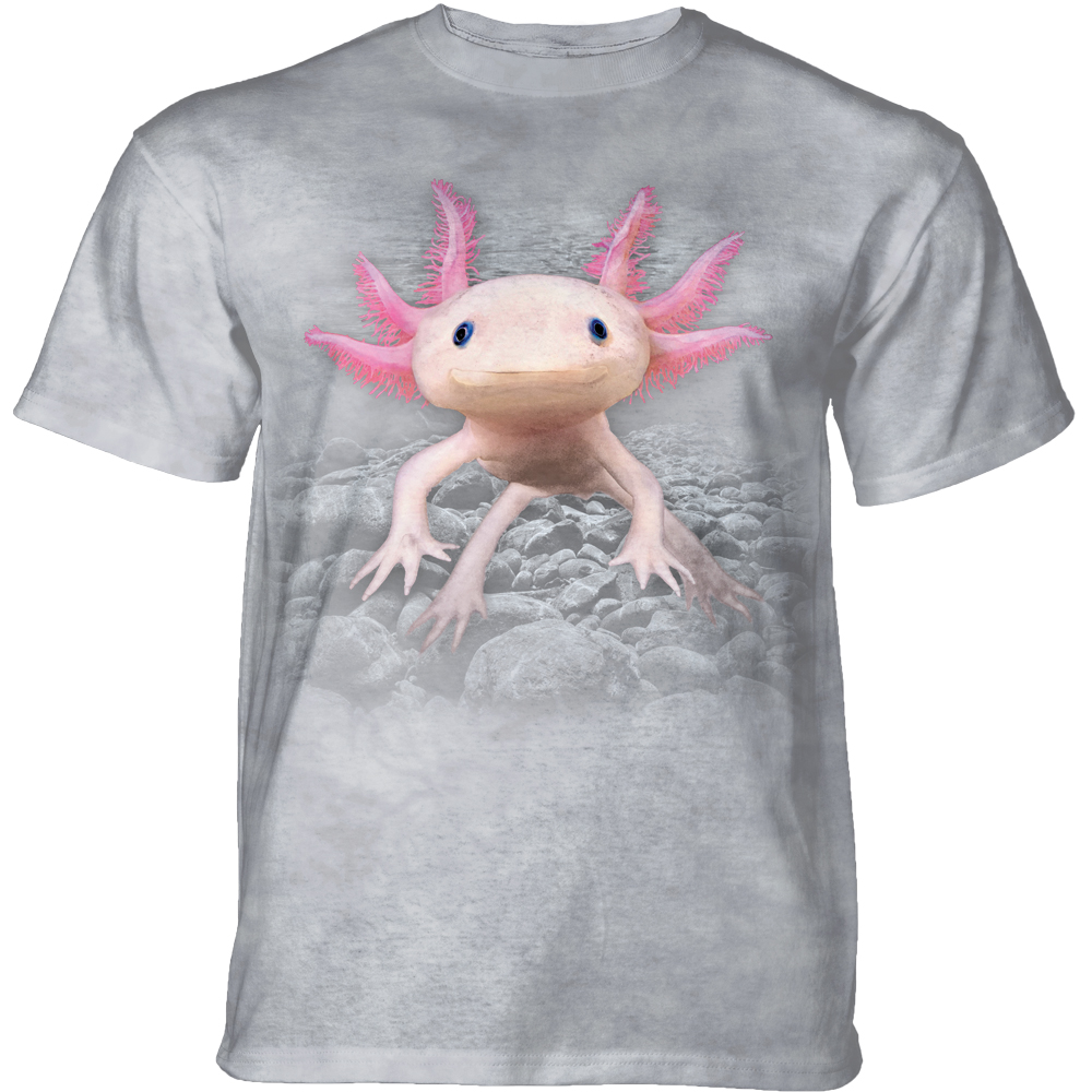 Axolotl