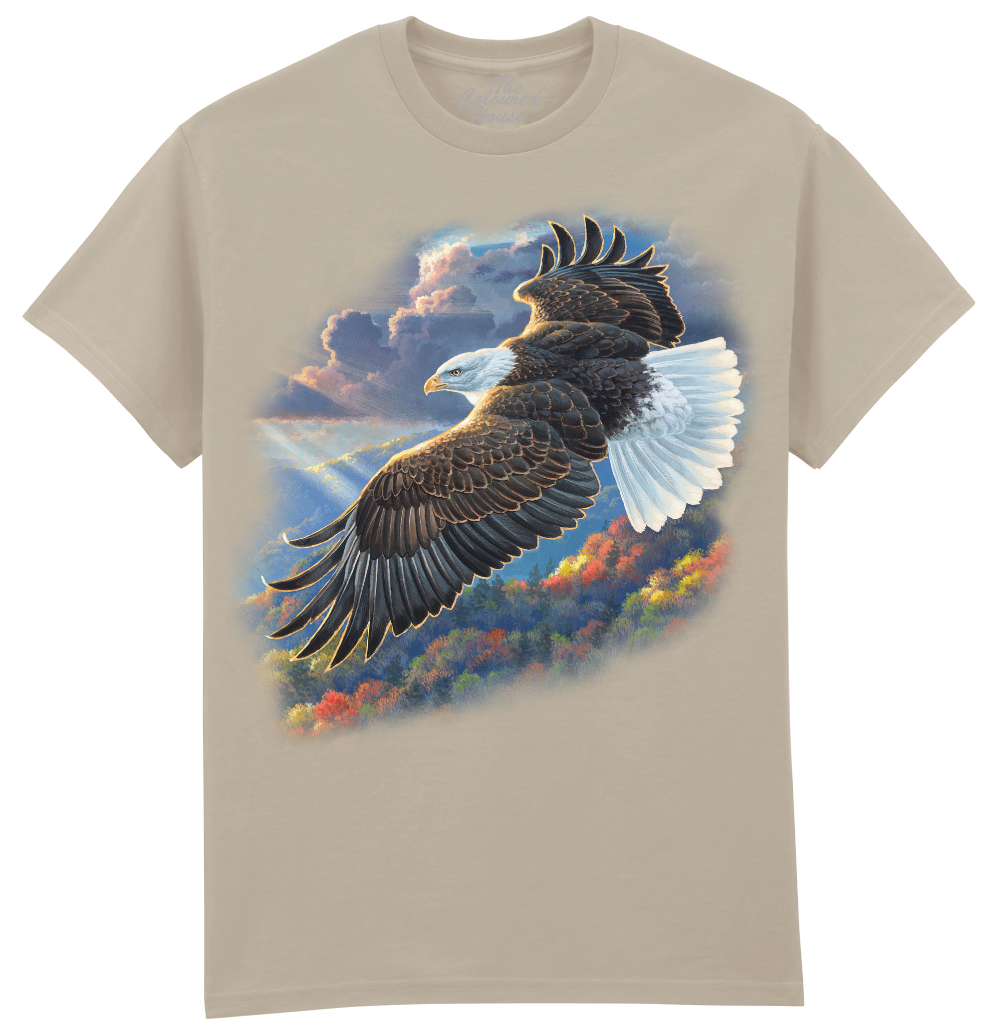 Freedom - Bald Eagle