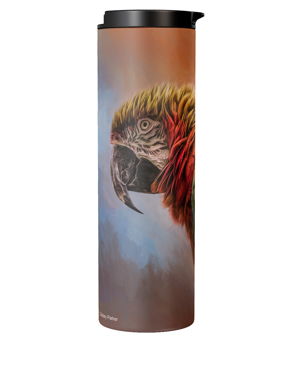 Coat Of Many Colors Tumbler