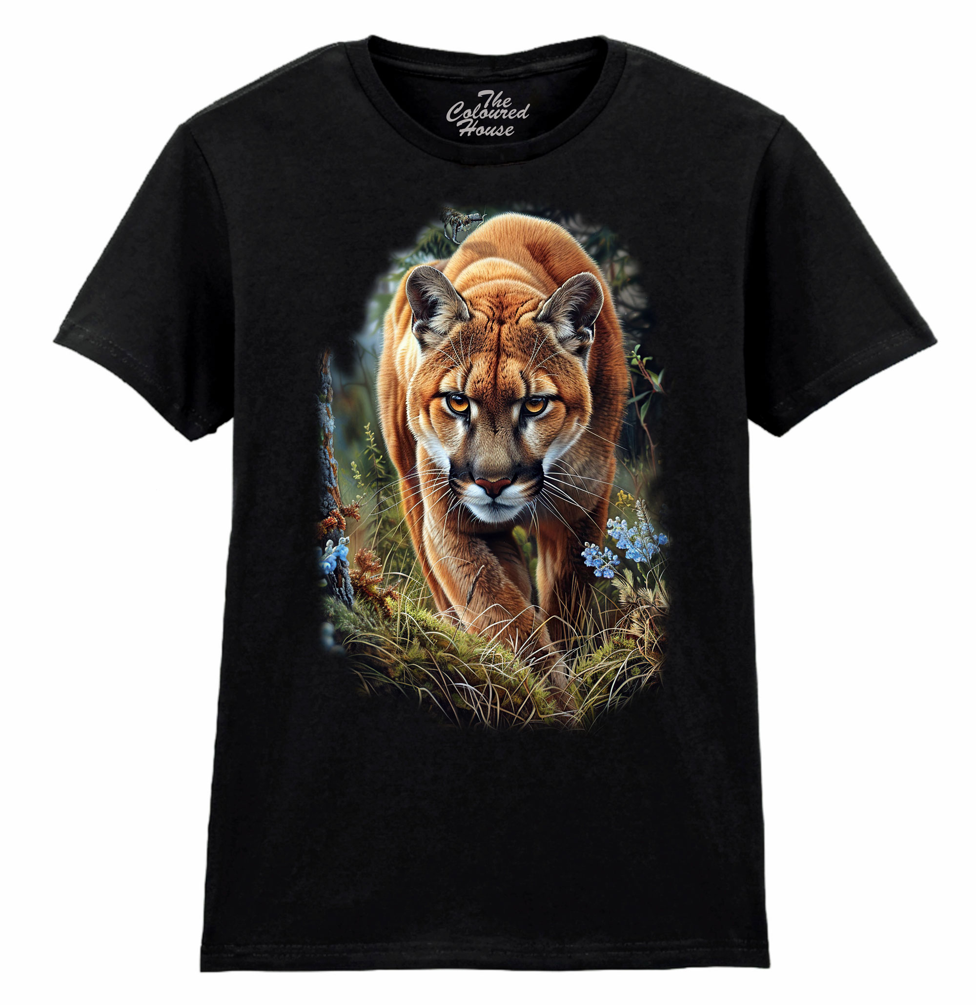 Approaching Mountain Lion Ladies T-shirt