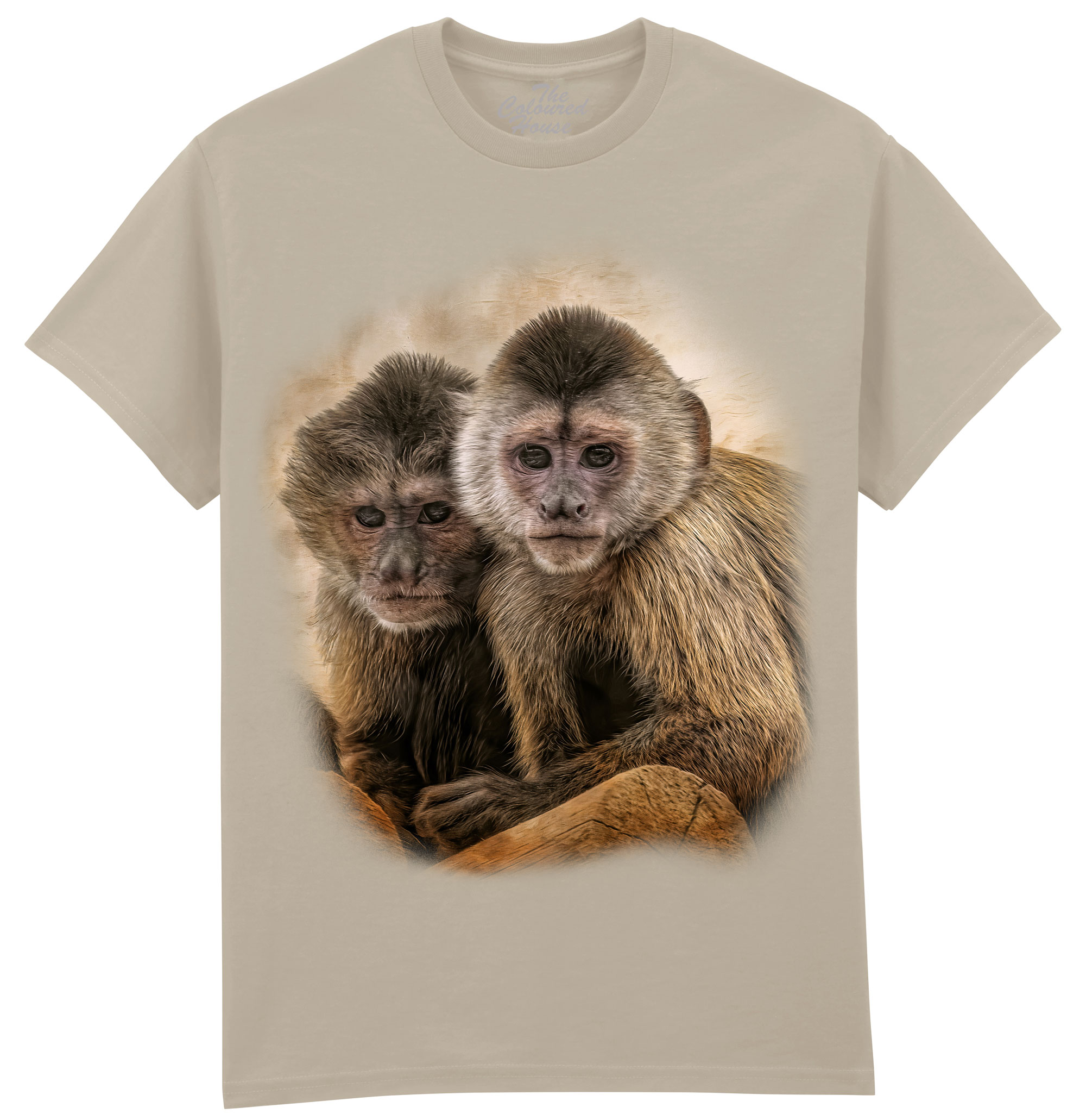 Companions In Mischief - Squirrel Monkeys