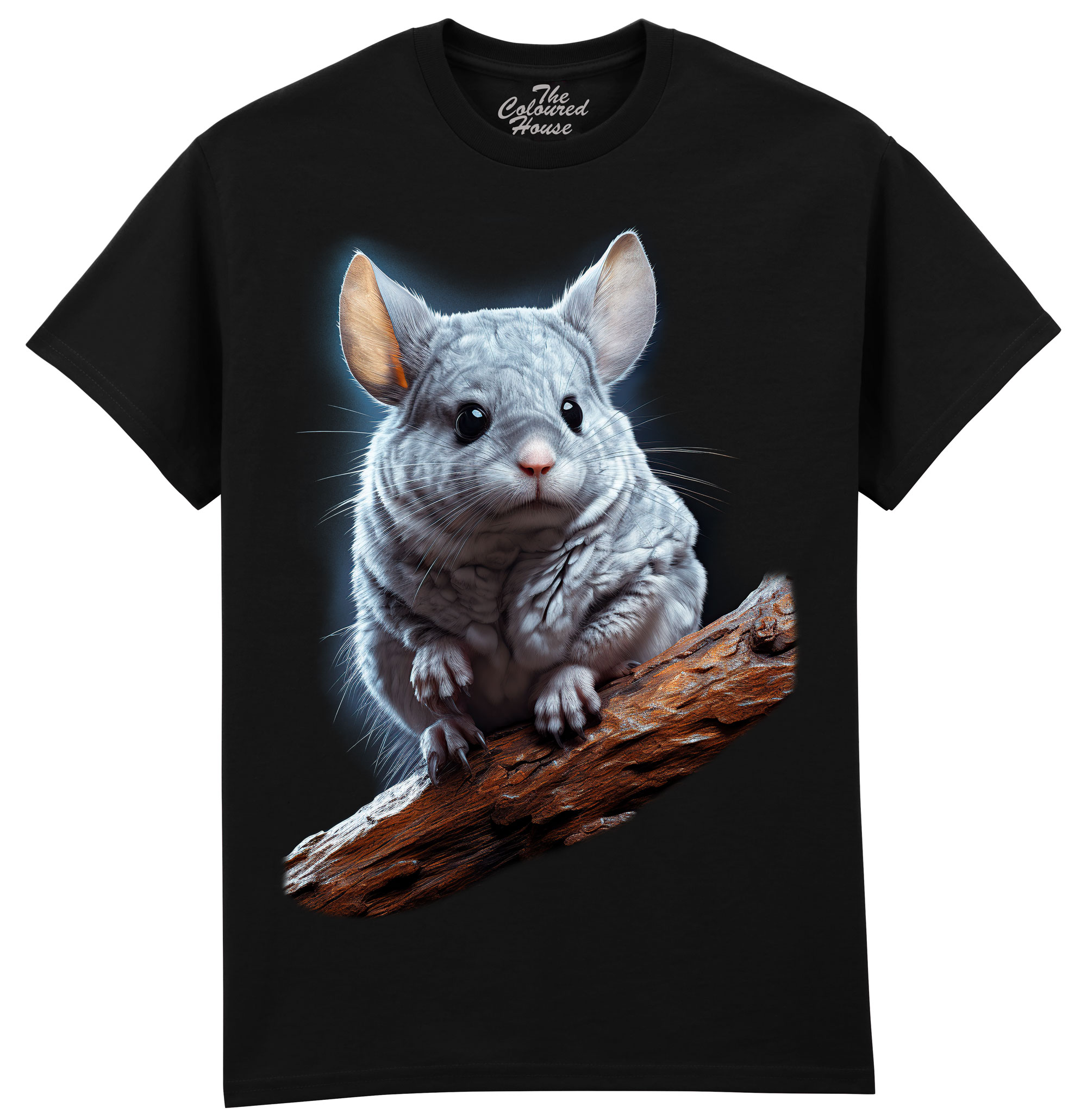 Chinchilla