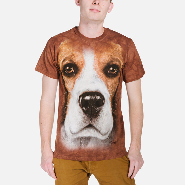 Beagle Face