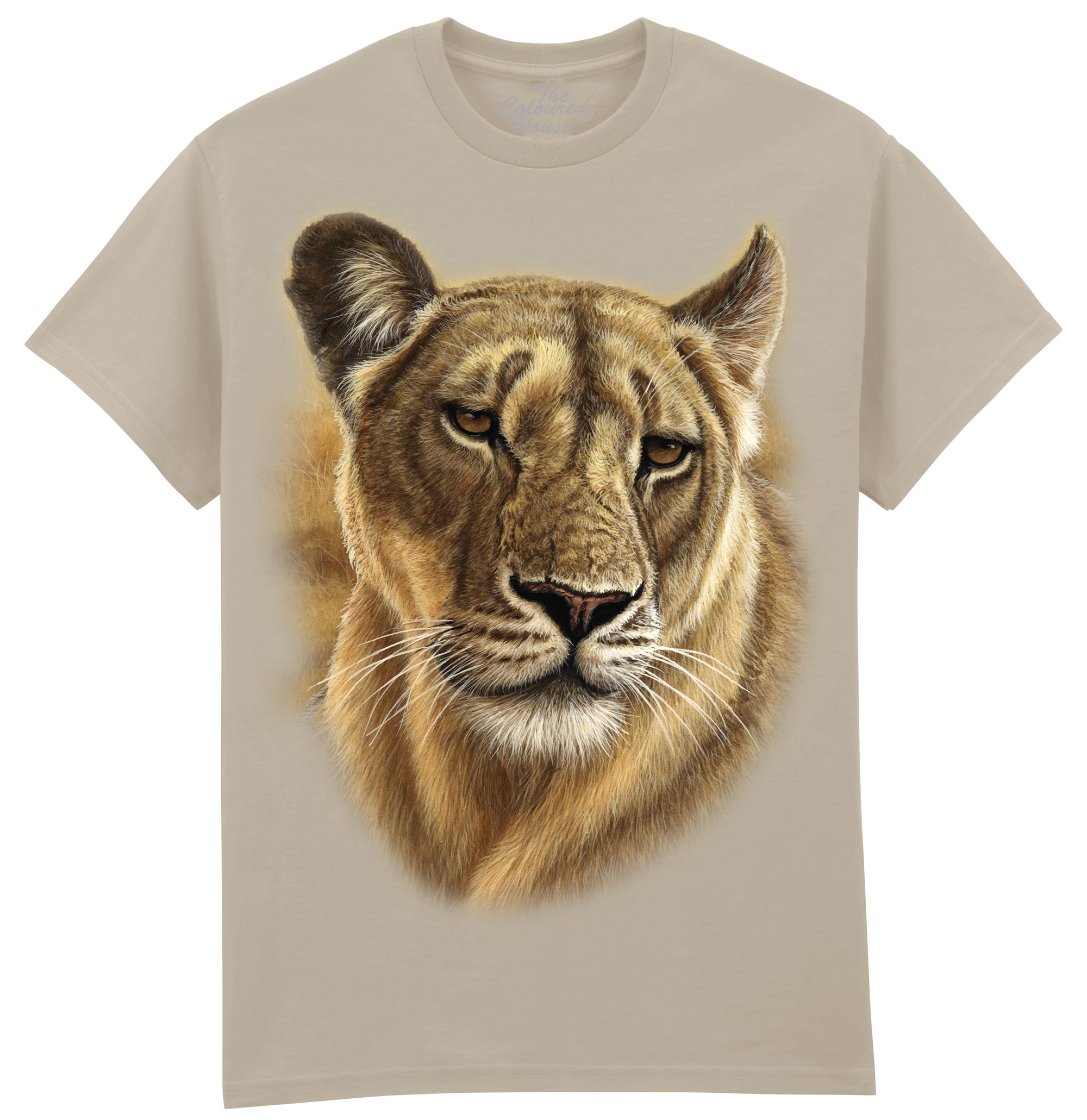 Lioness