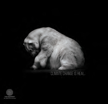 Climate Change Is Real Polar Bear Tumbler