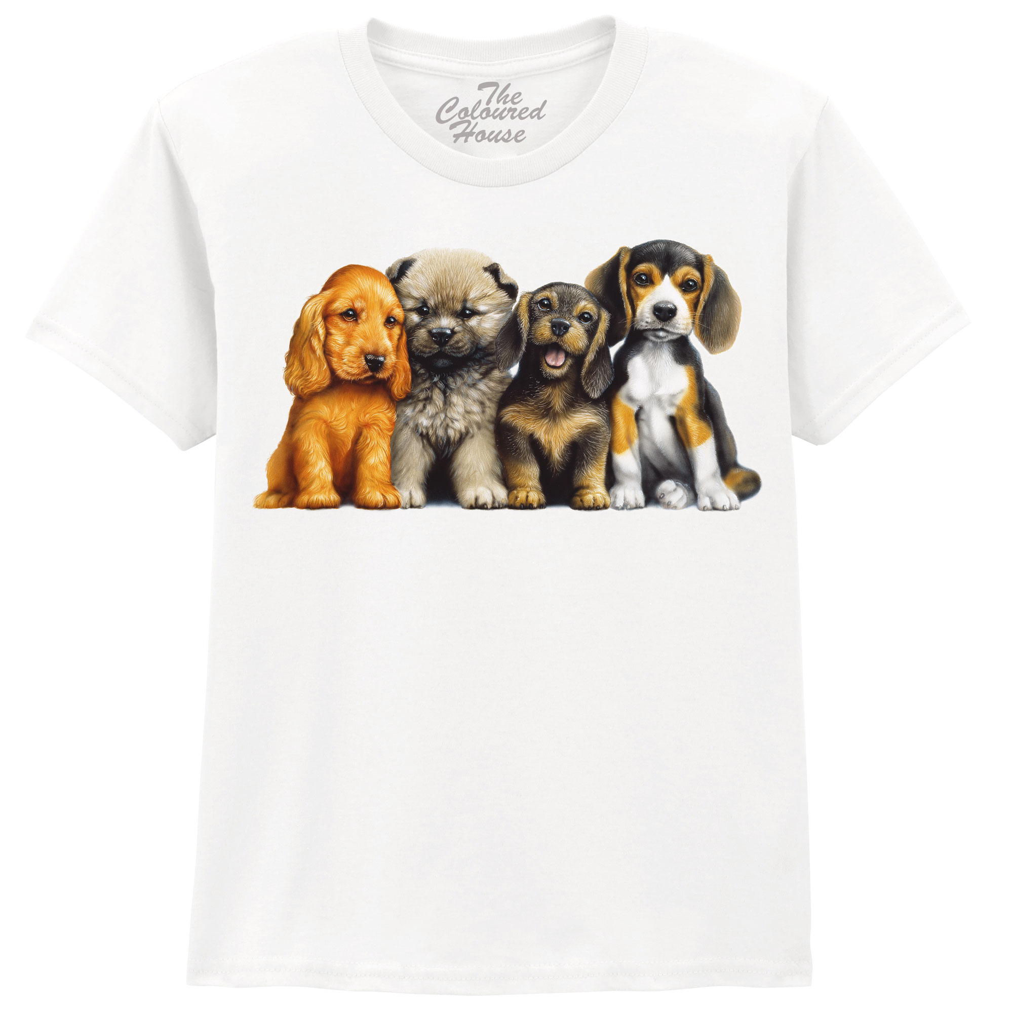 Young Dogs KIDS