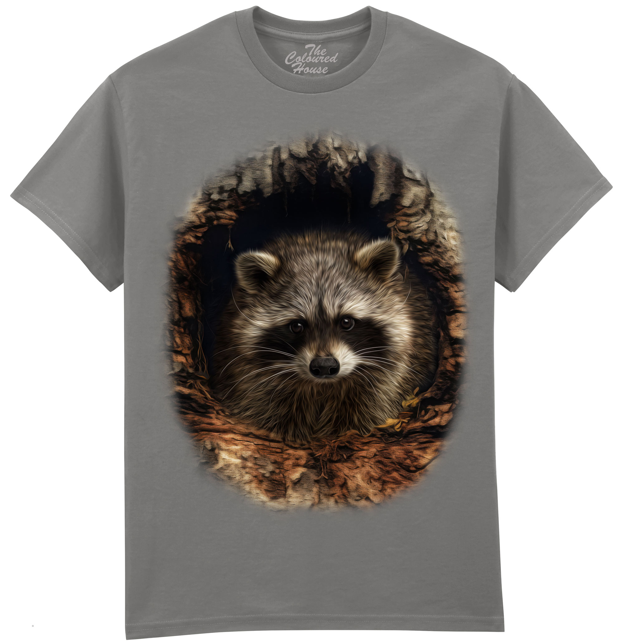 Through The Woodland Window - Racoon