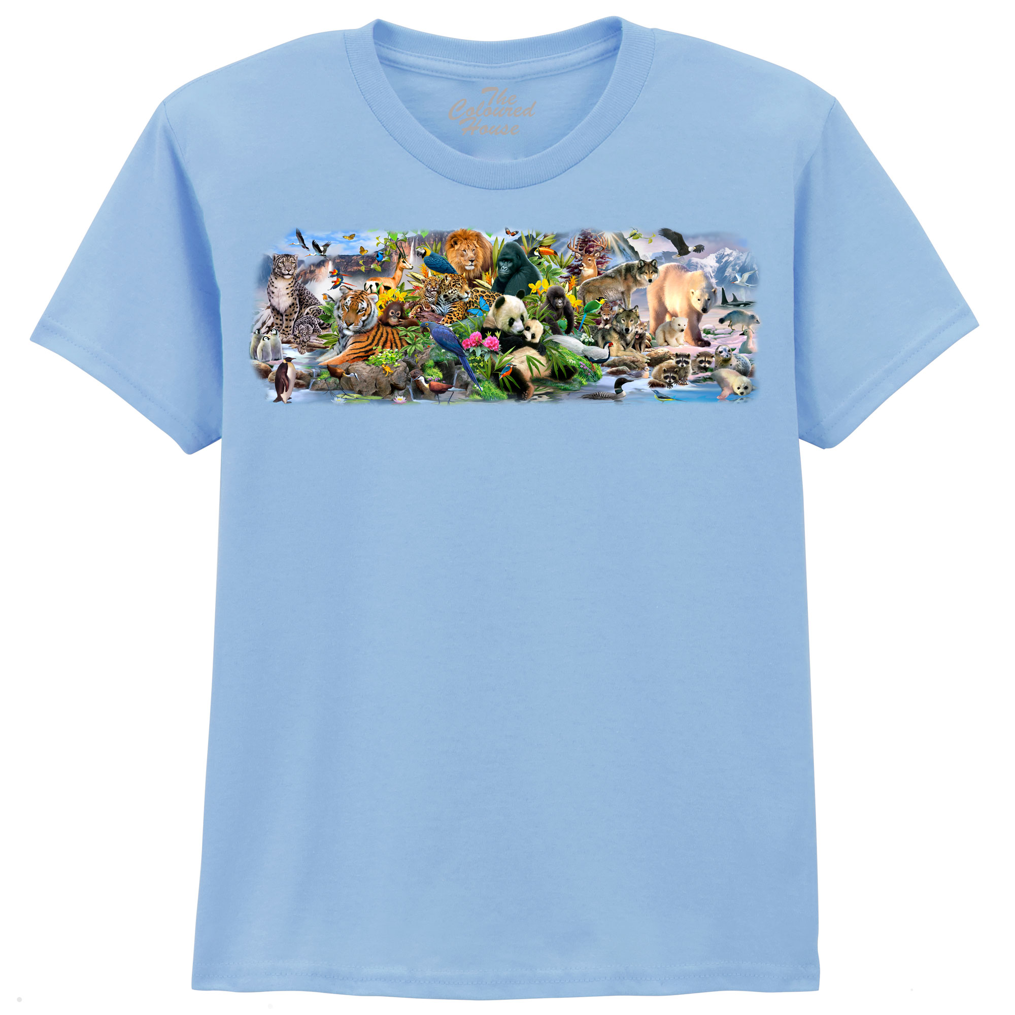 Around The World KIDS