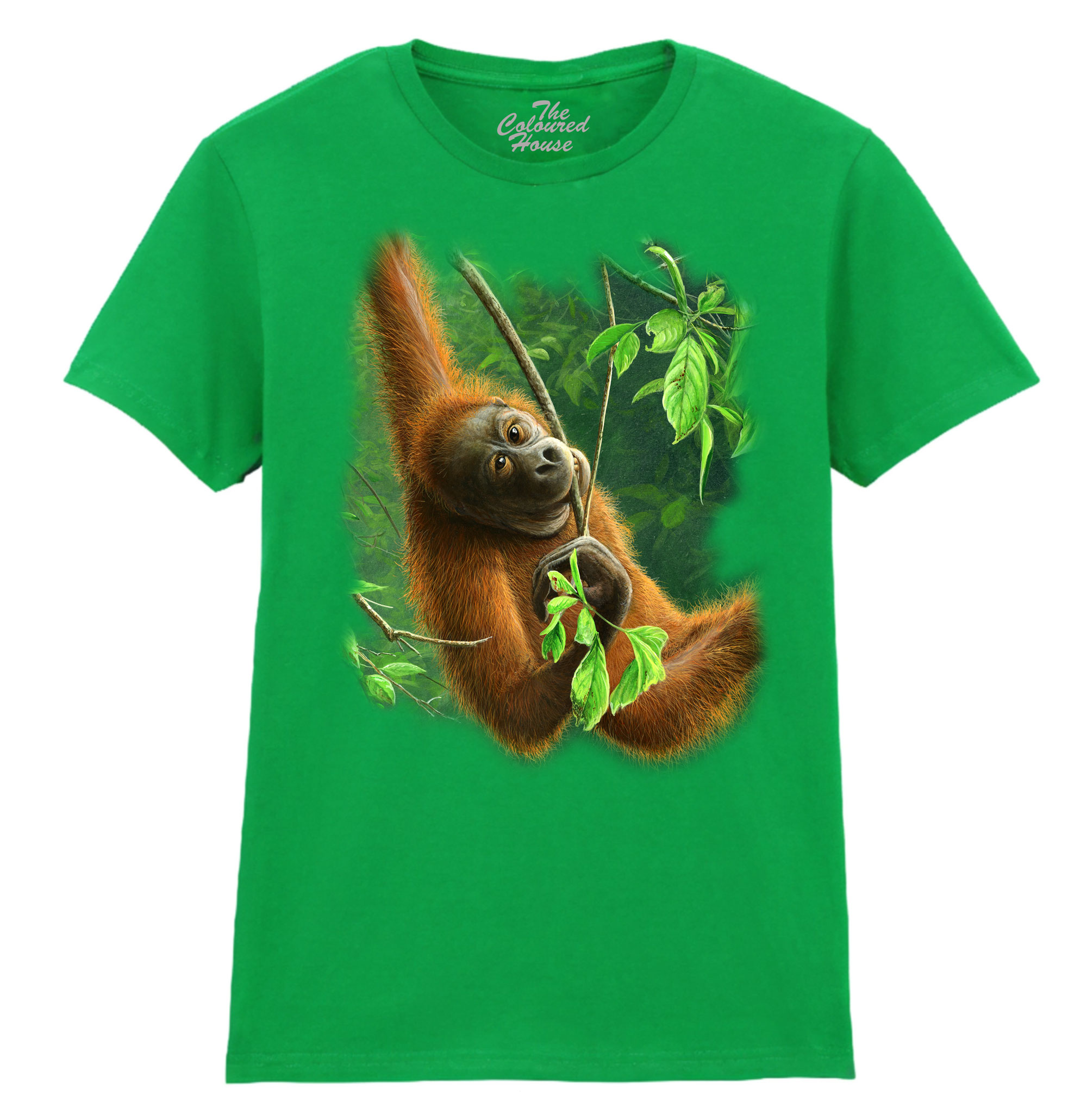 Hanging Orangutan Ladies T-shirt