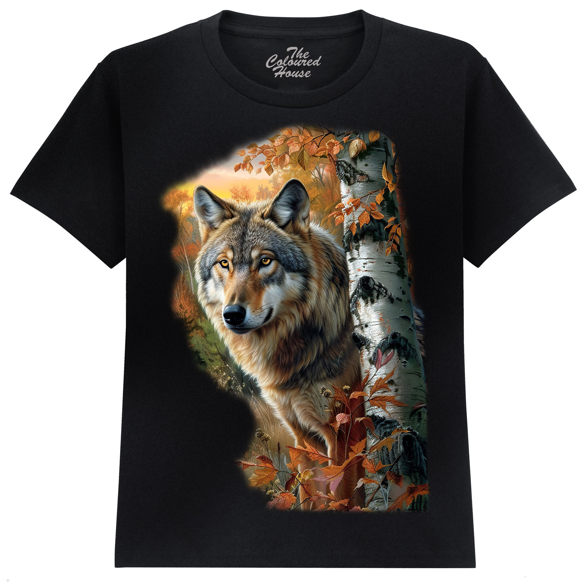 Forest Wolf Portrait KIDS