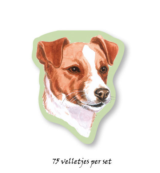 Jack Russell