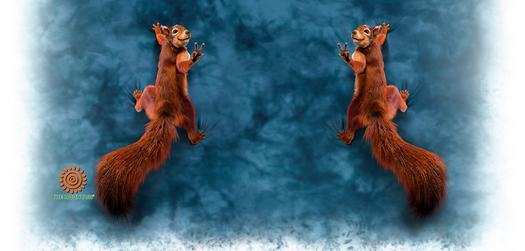 Becher Peace Squirrel