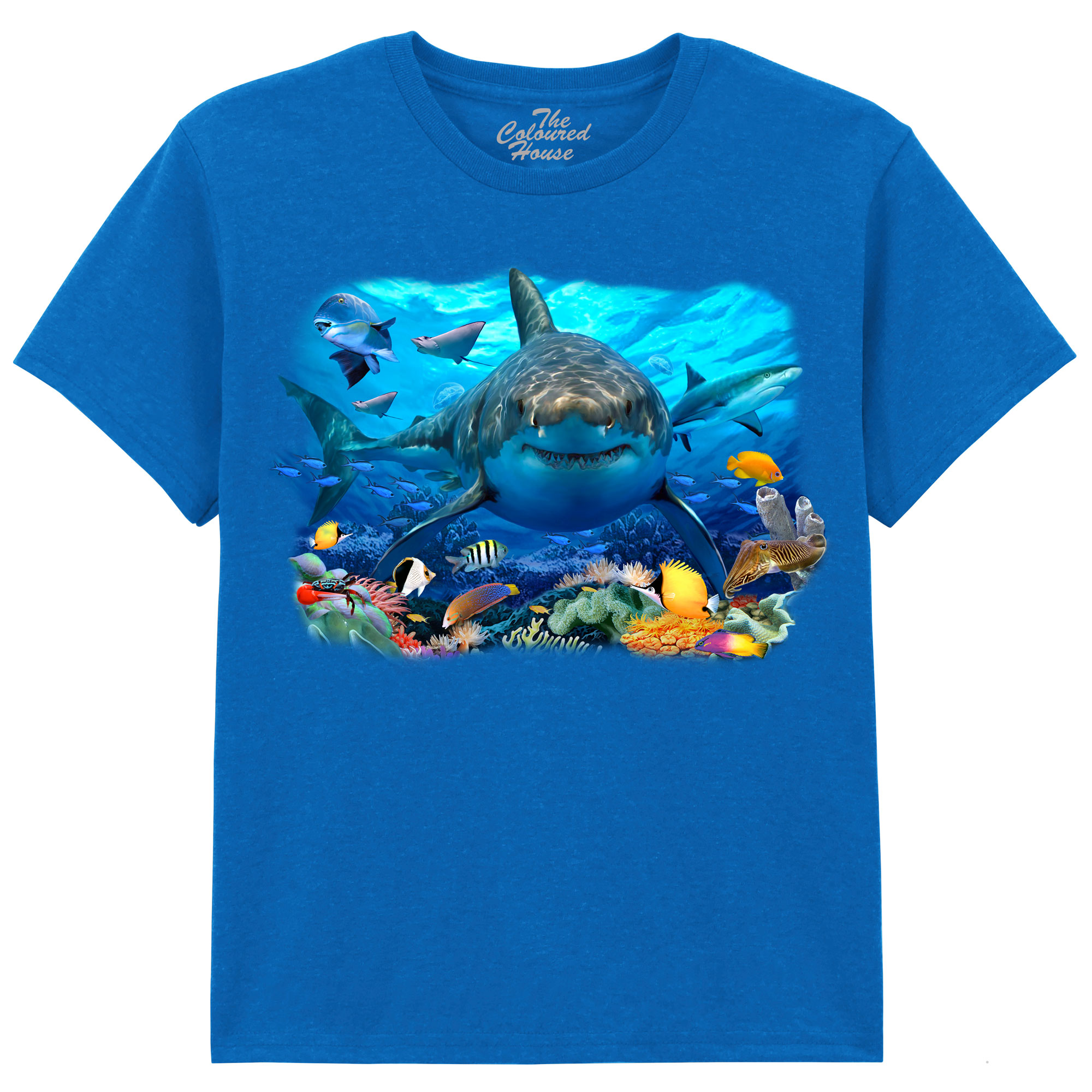 Great White Shark And Sealife KIDS